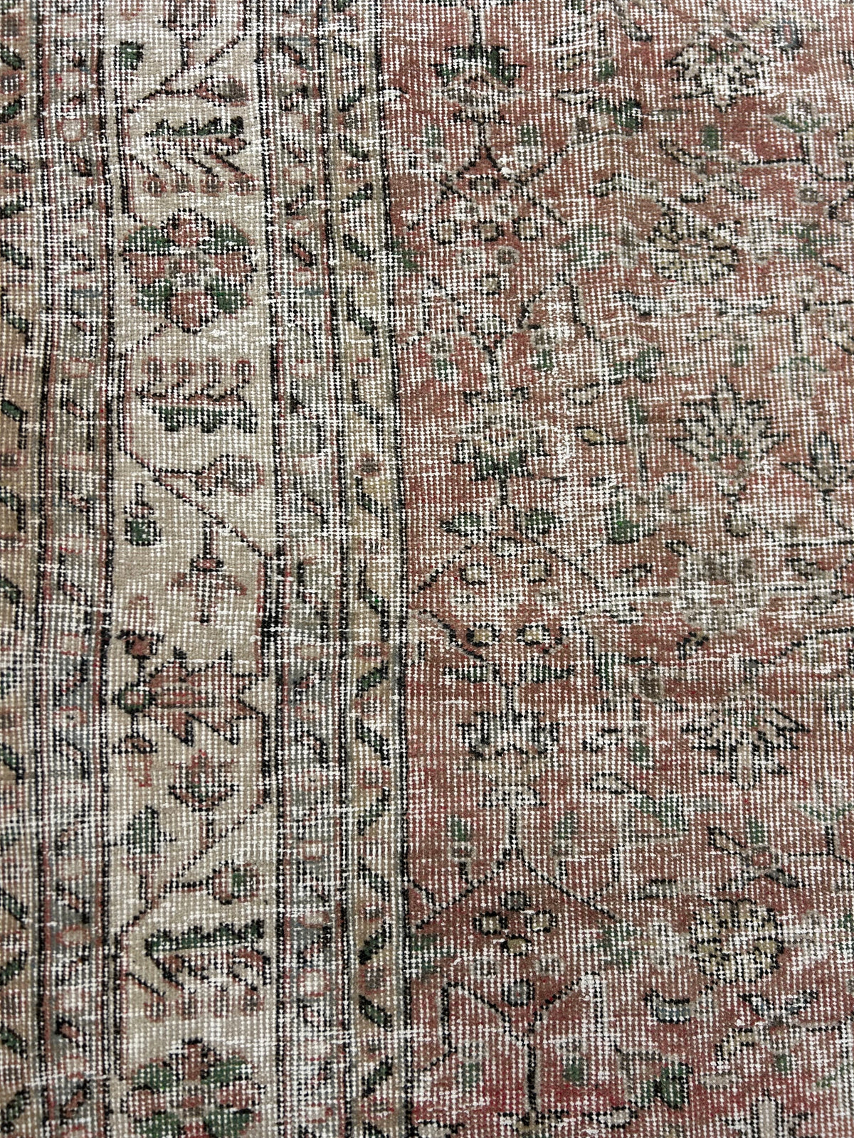 'Colette' - 212 x 326cm