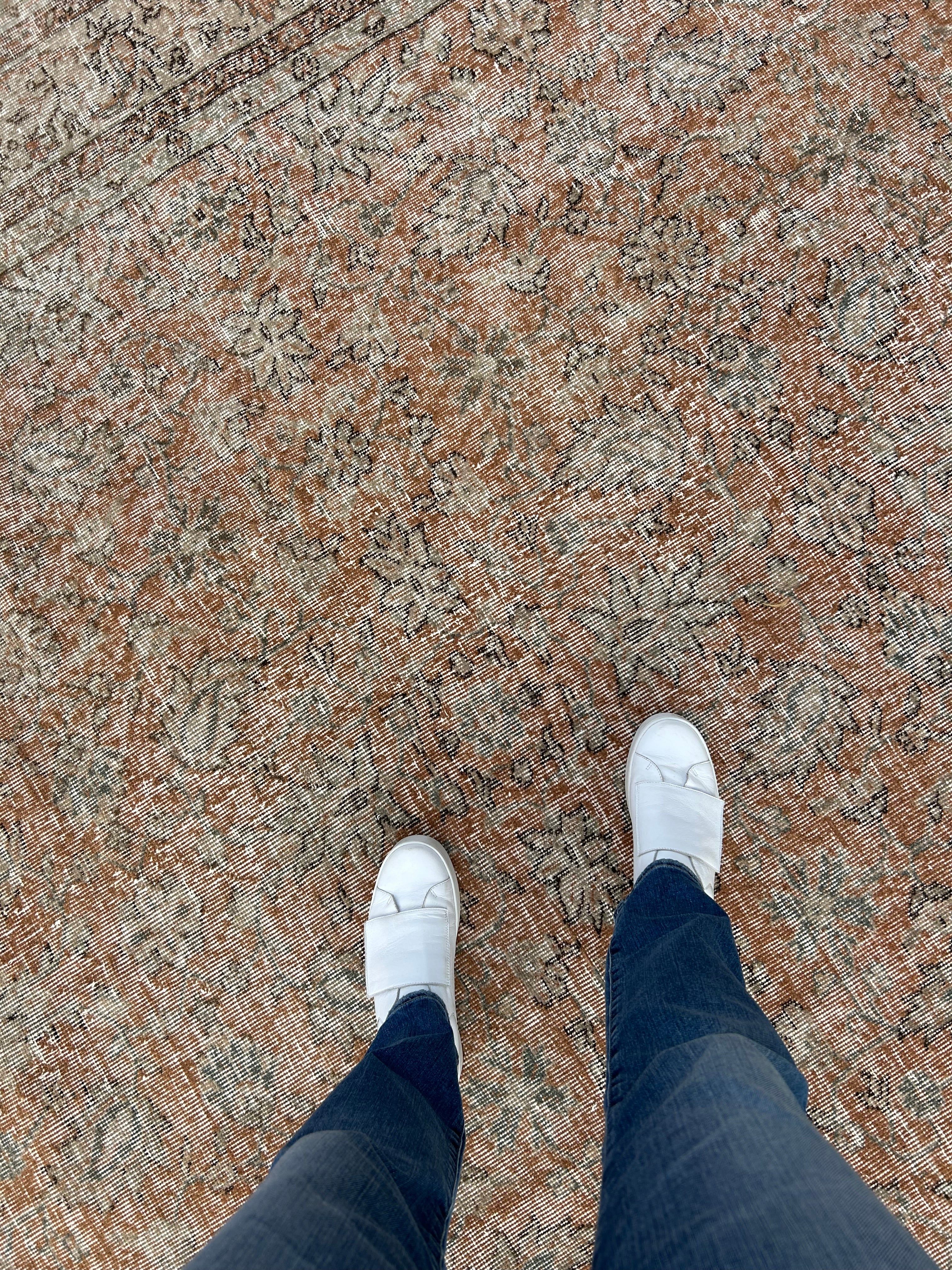 ‘Jana’ - 215 x 294cm