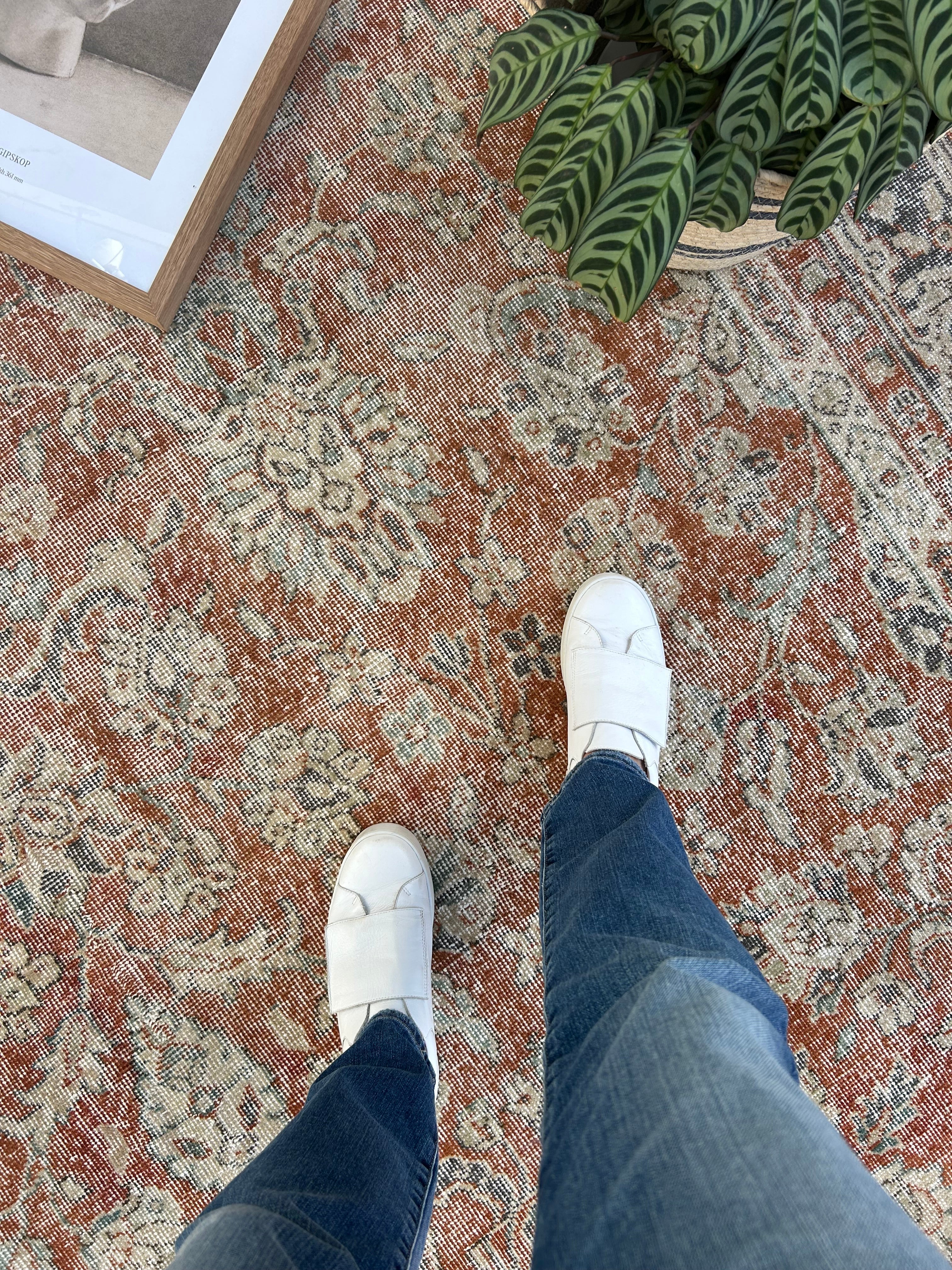 ‘Lillian’ - 244 x 368cm