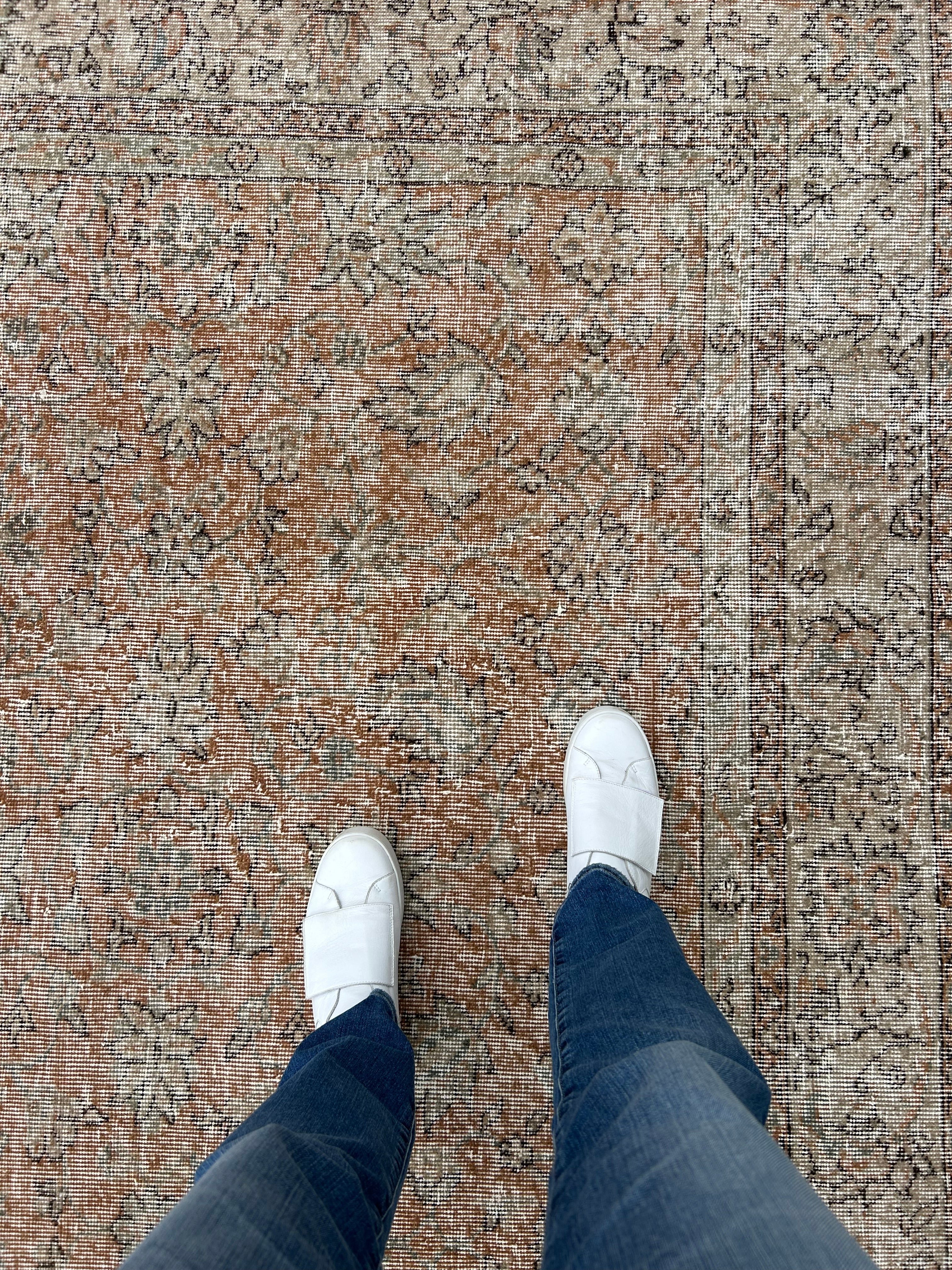 ‘Jana’ - 215 x 294cm