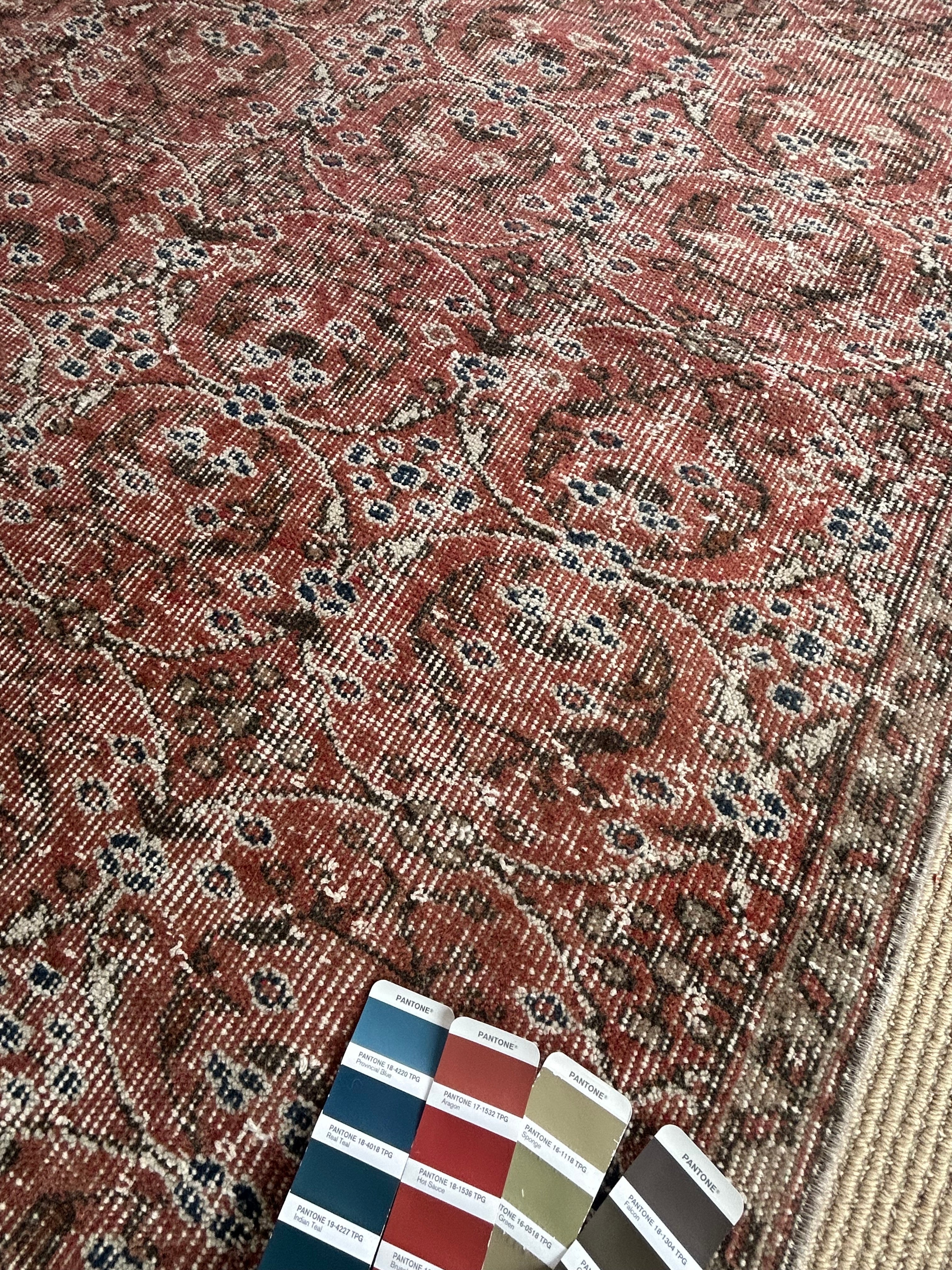 ‘Cressida’ - 130 x 248cm