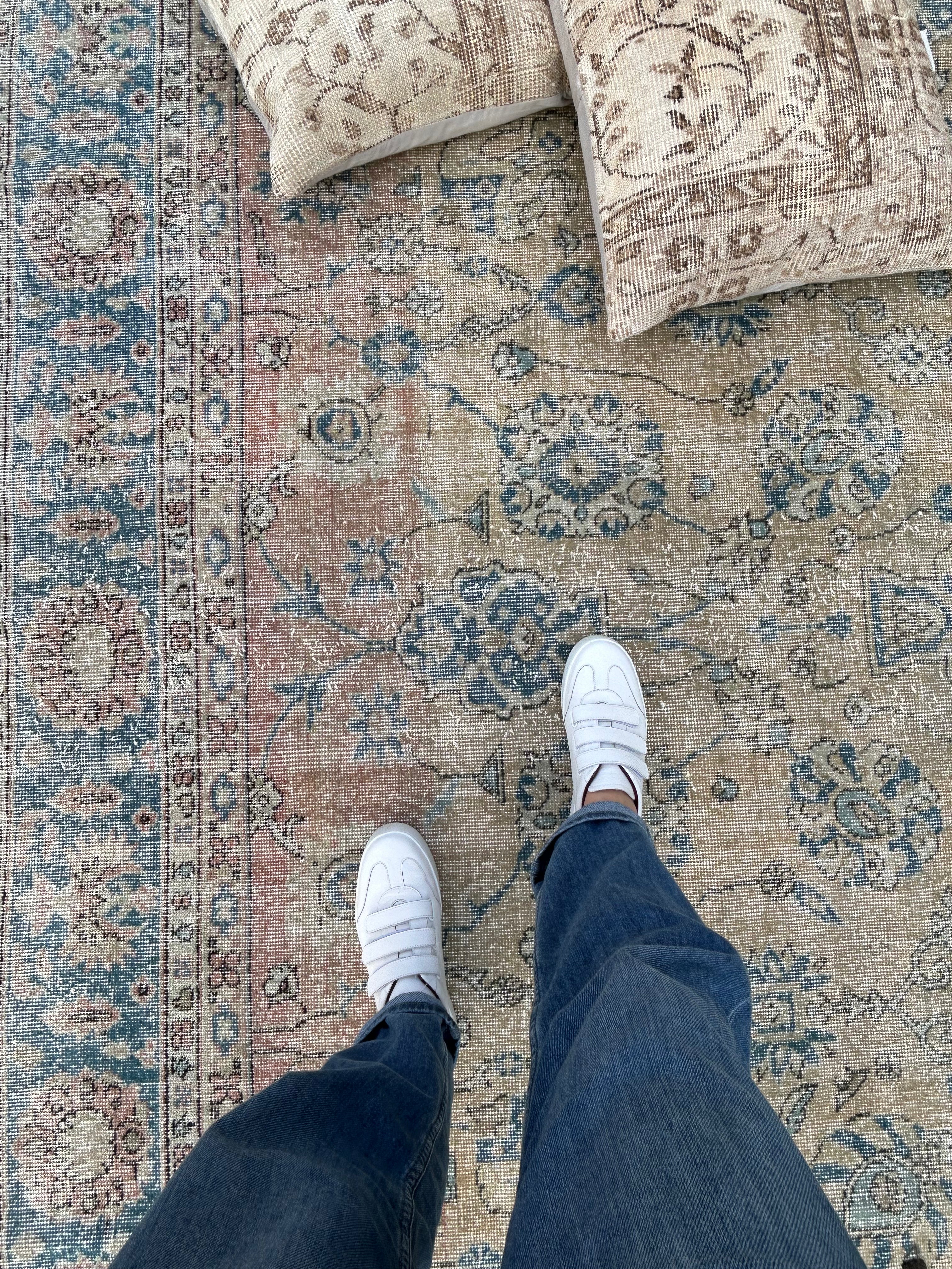 'Paloma' - 255 x 366cm