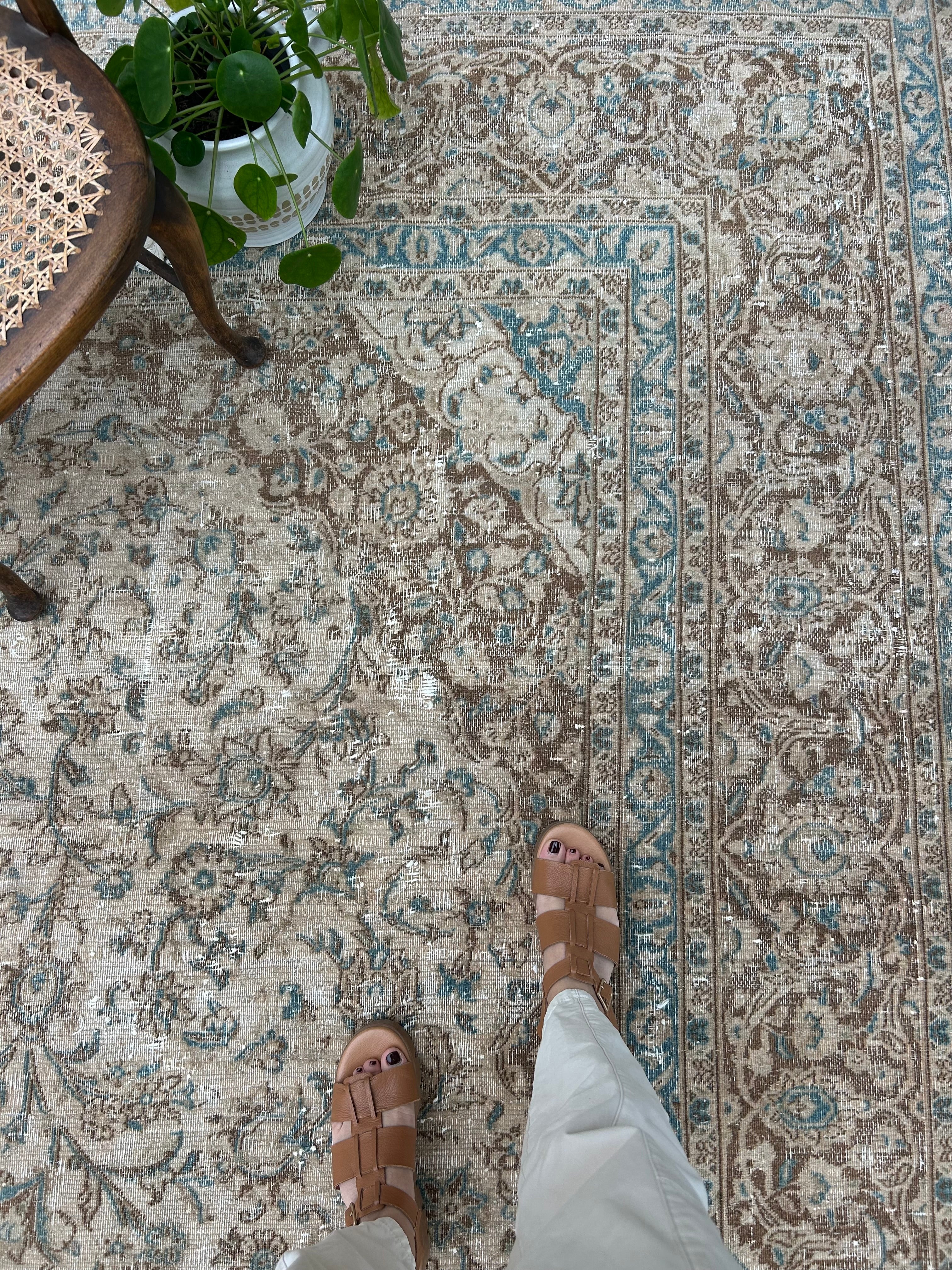 'Naomi' - 293 x 375cm