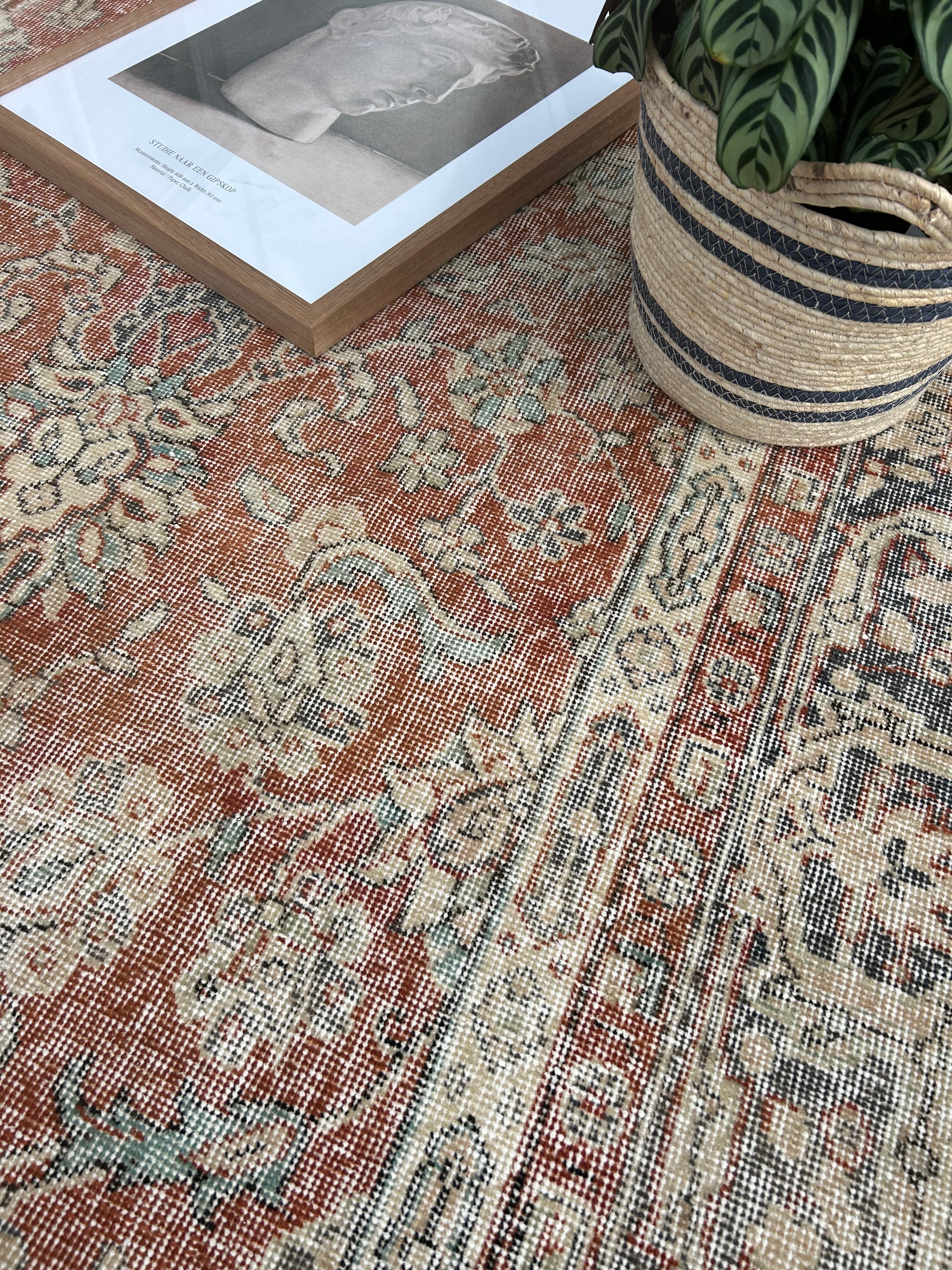 ‘Lillian’ - 244 x 368cm