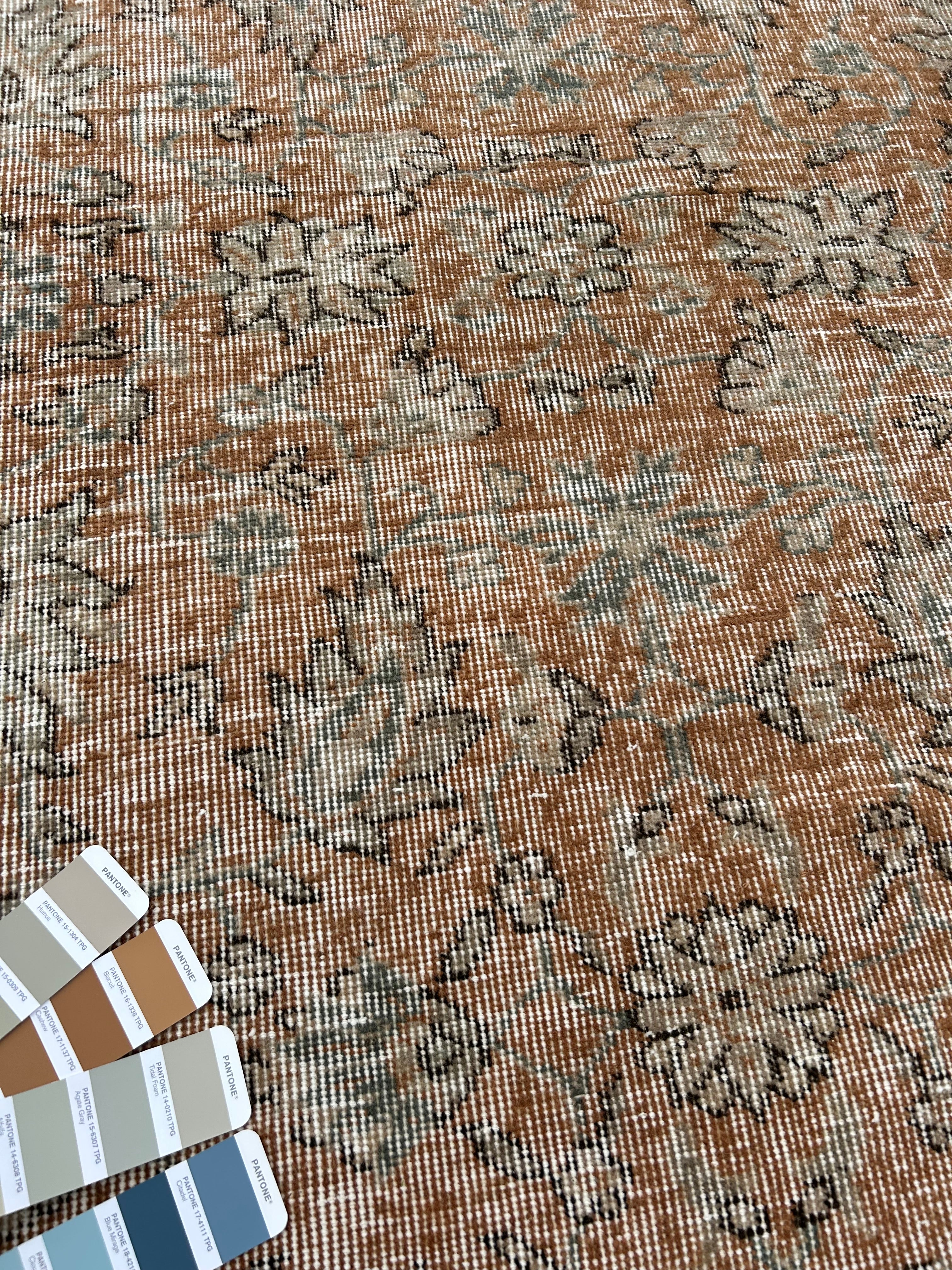 ‘Jana’ - 215 x 294cm