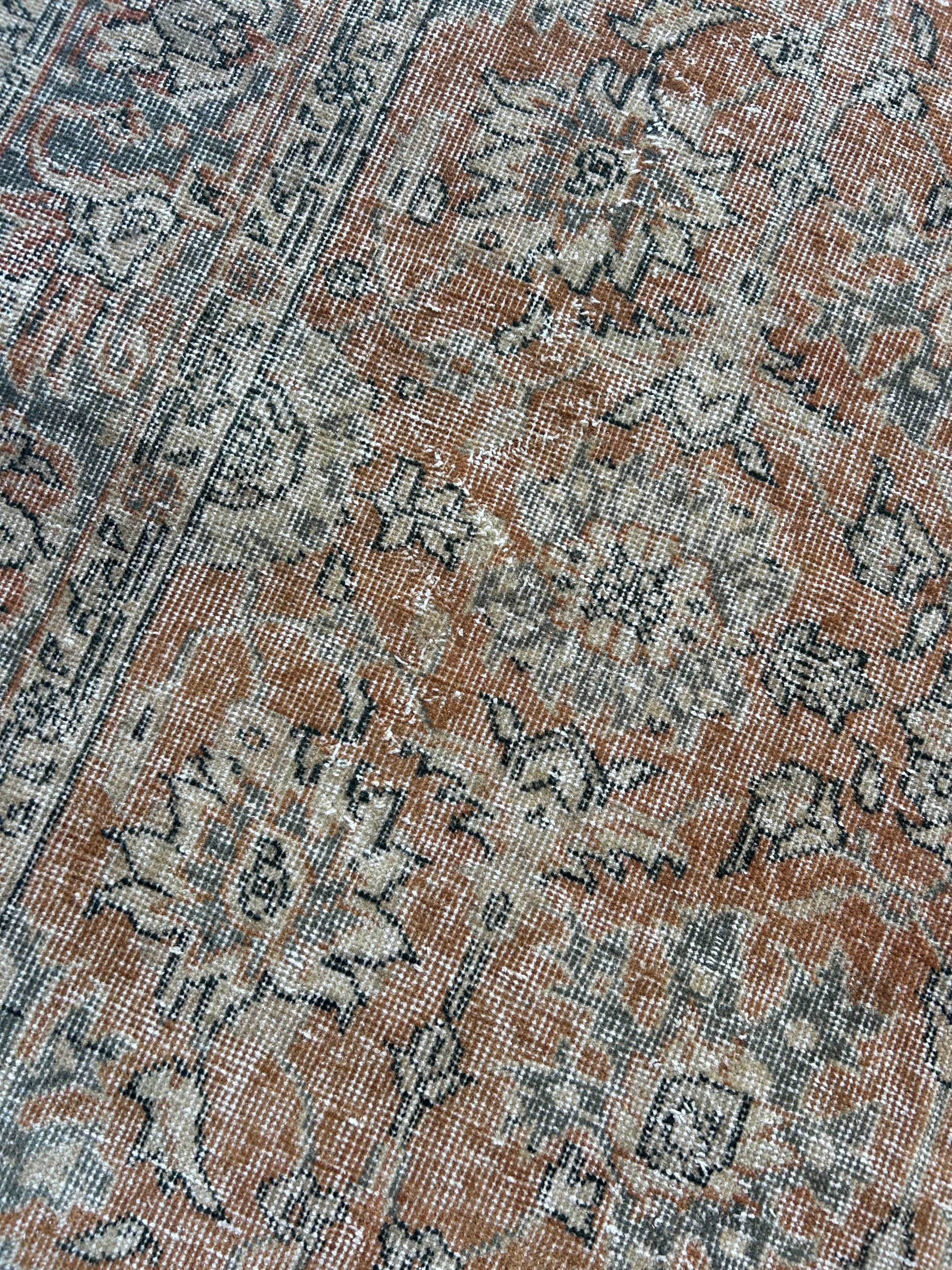 ‘Lottie’ - 145 x 234cm