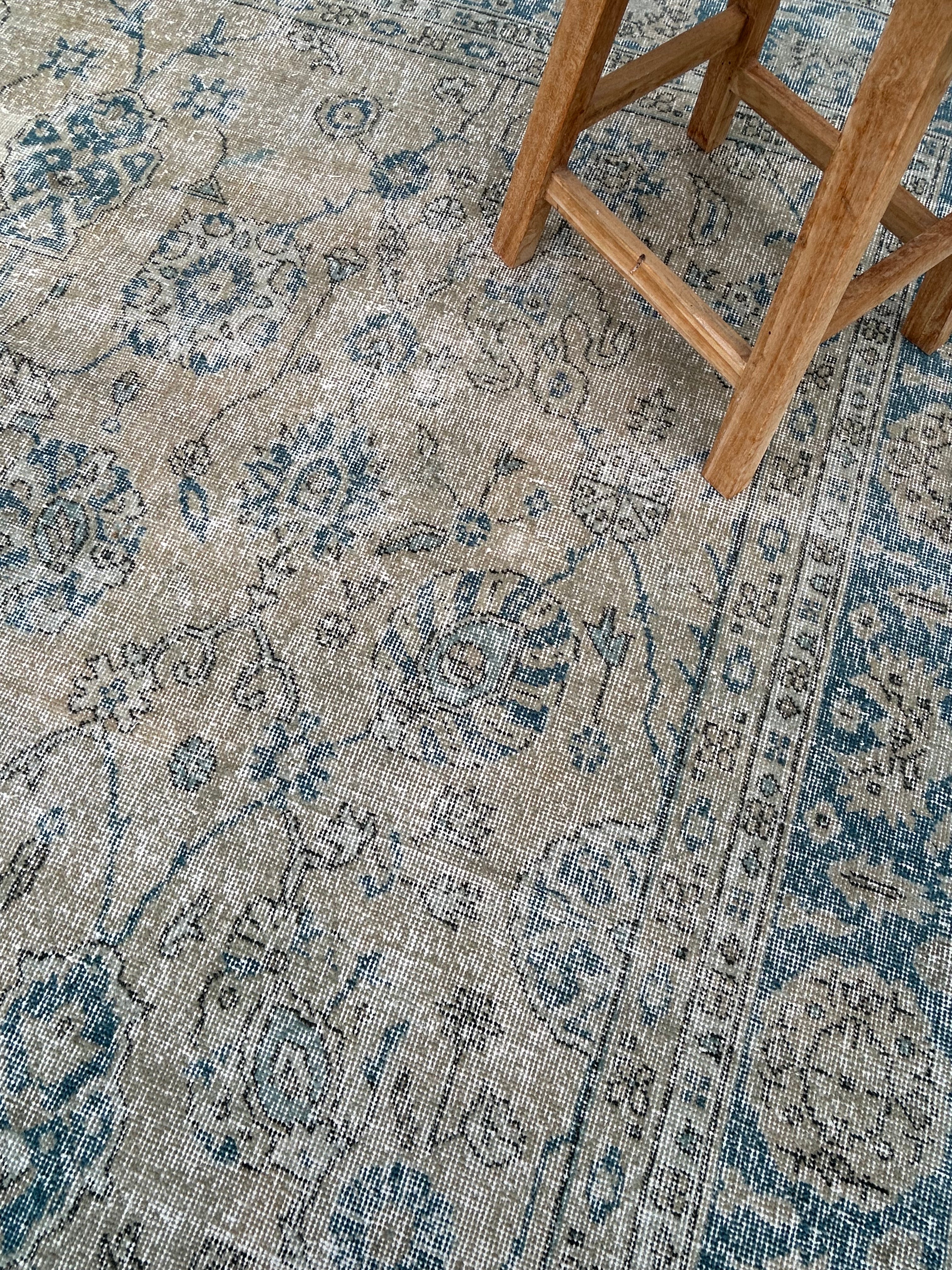 'Paloma' - 255 x 366cm