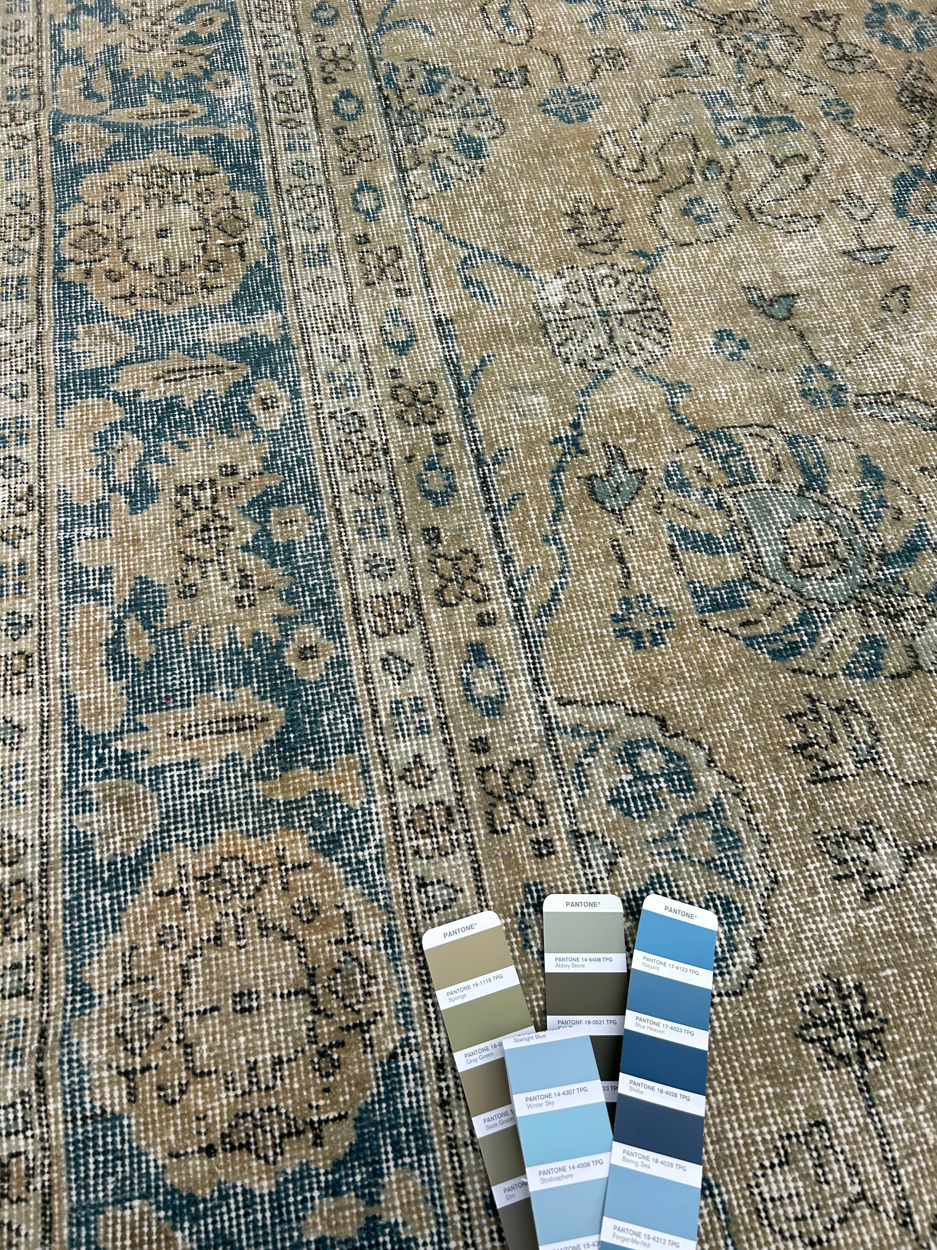 'Paloma' - 255 x 366cm