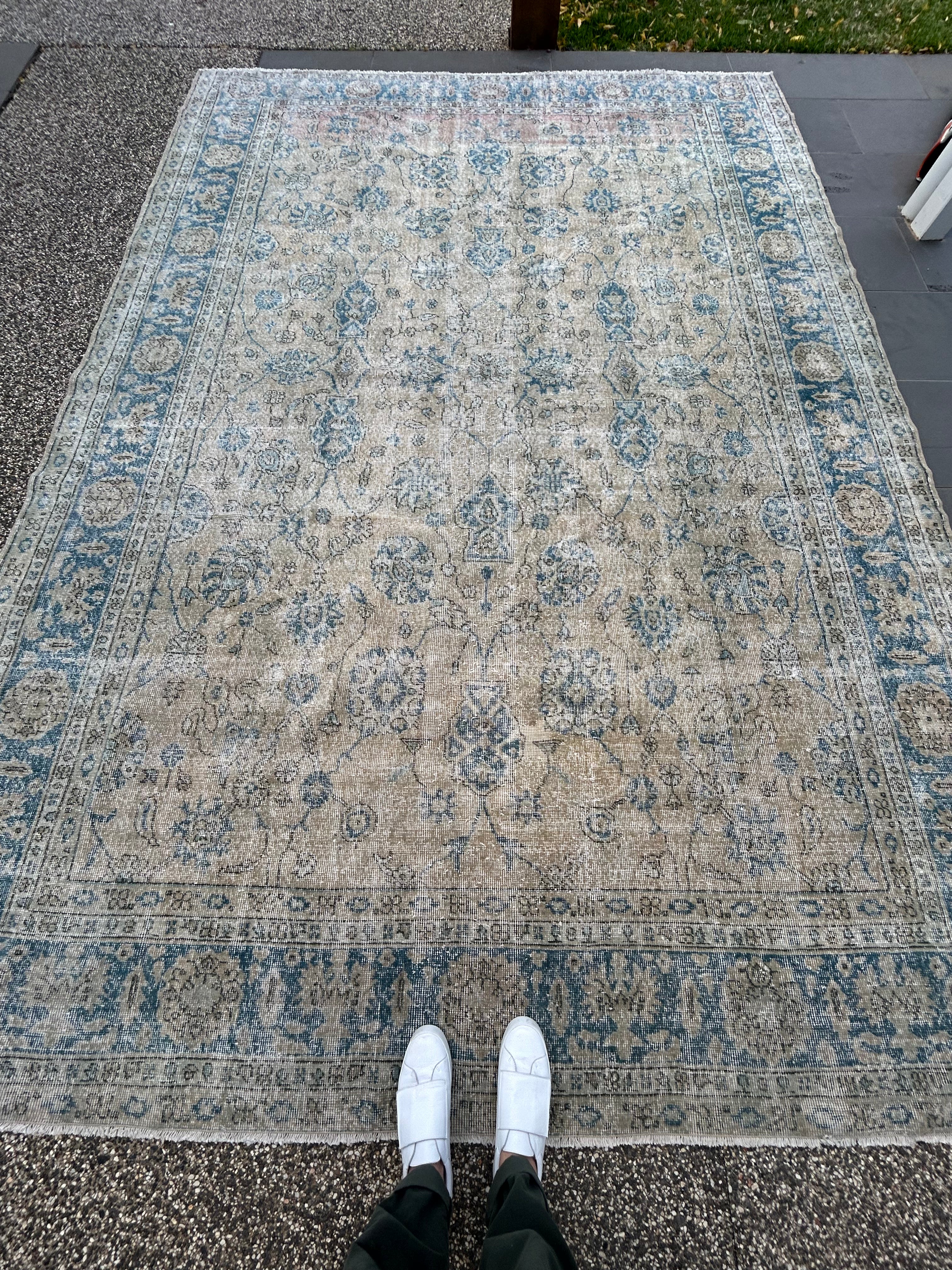 'Paloma' - 255 x 366cm