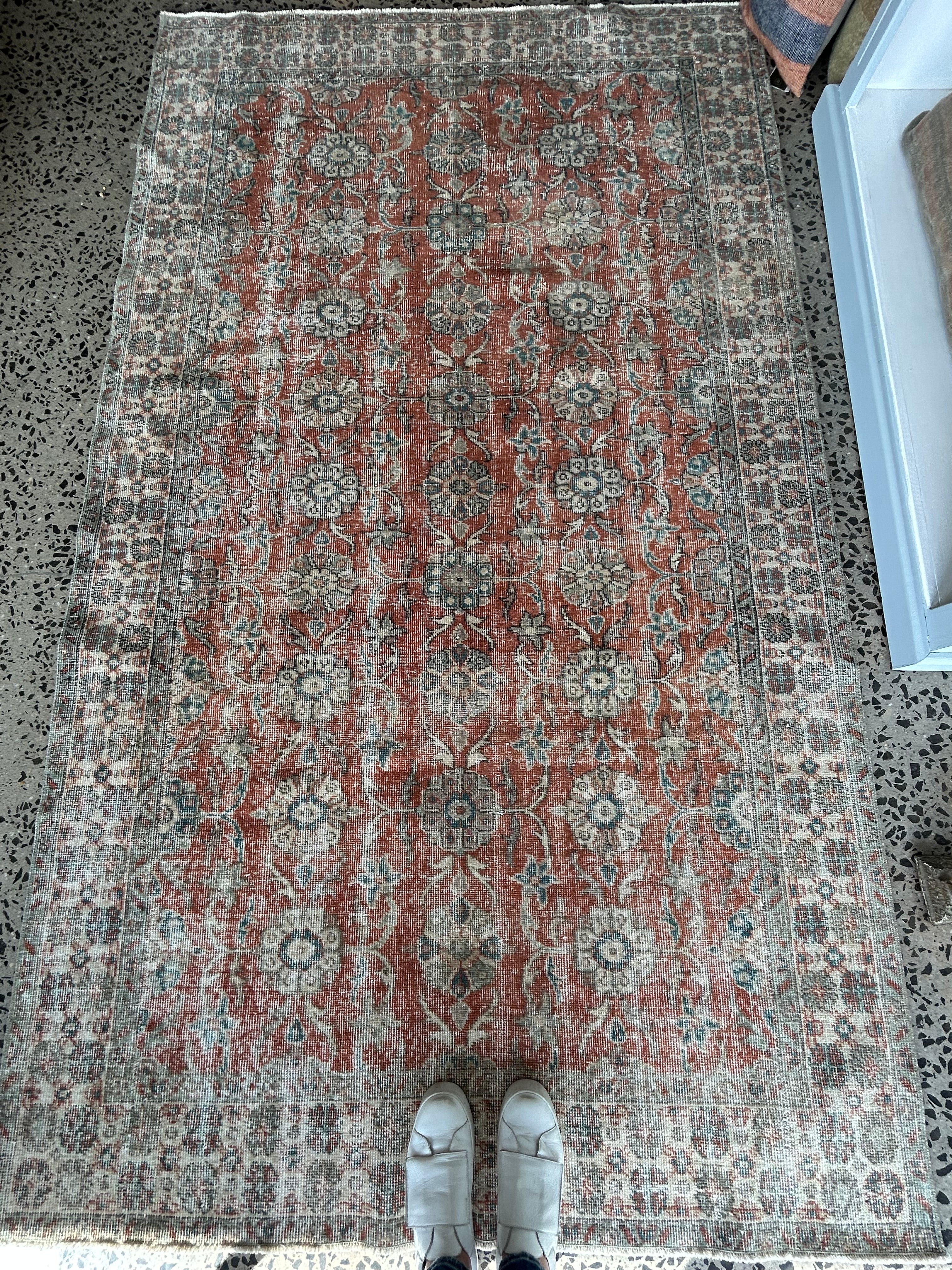 ‘Jess’ - 141 x 241cm