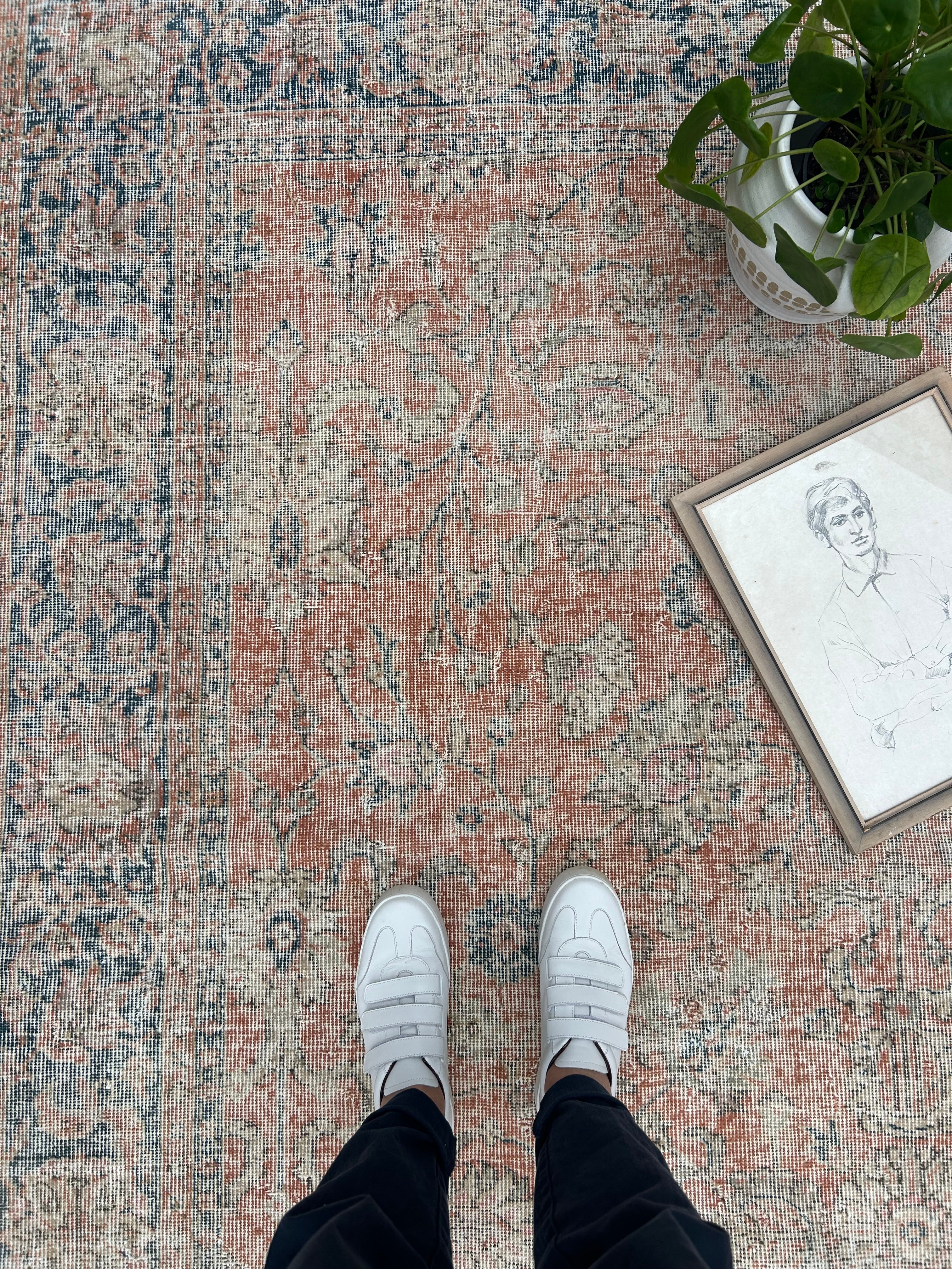 Willow - 202 x 303cm