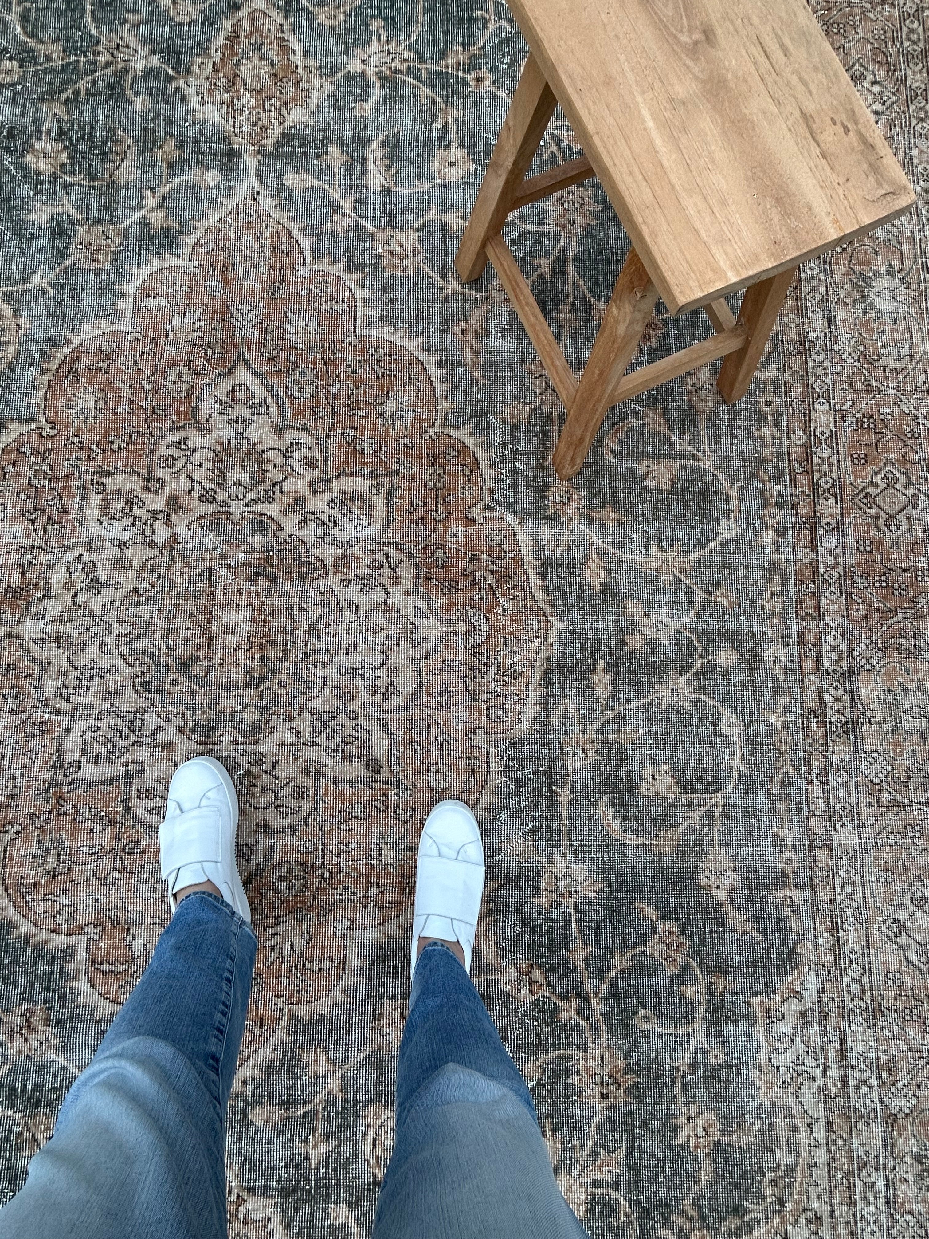 'Laurence' - 242 x 337cm