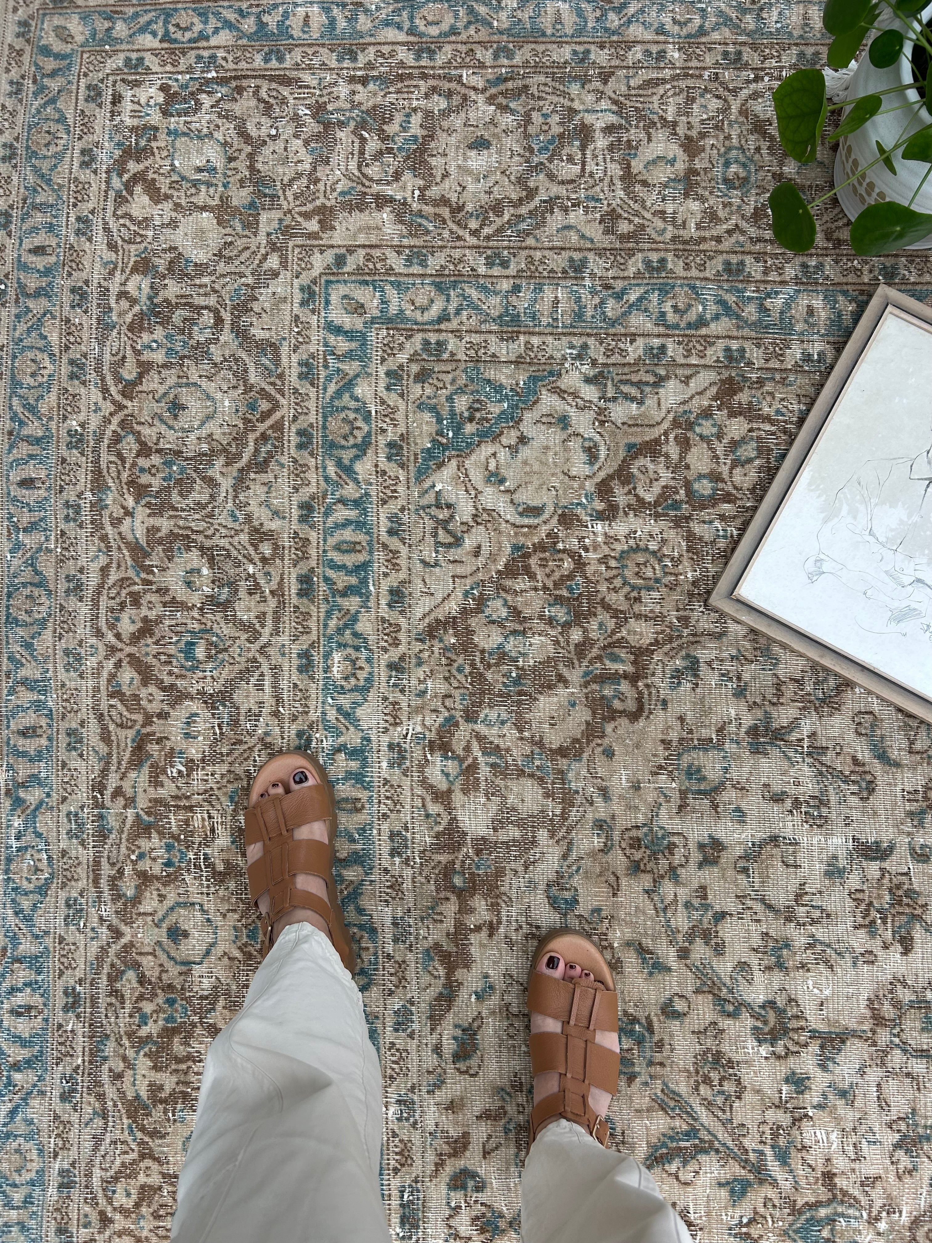 'Naomi' - 293 x 375cm