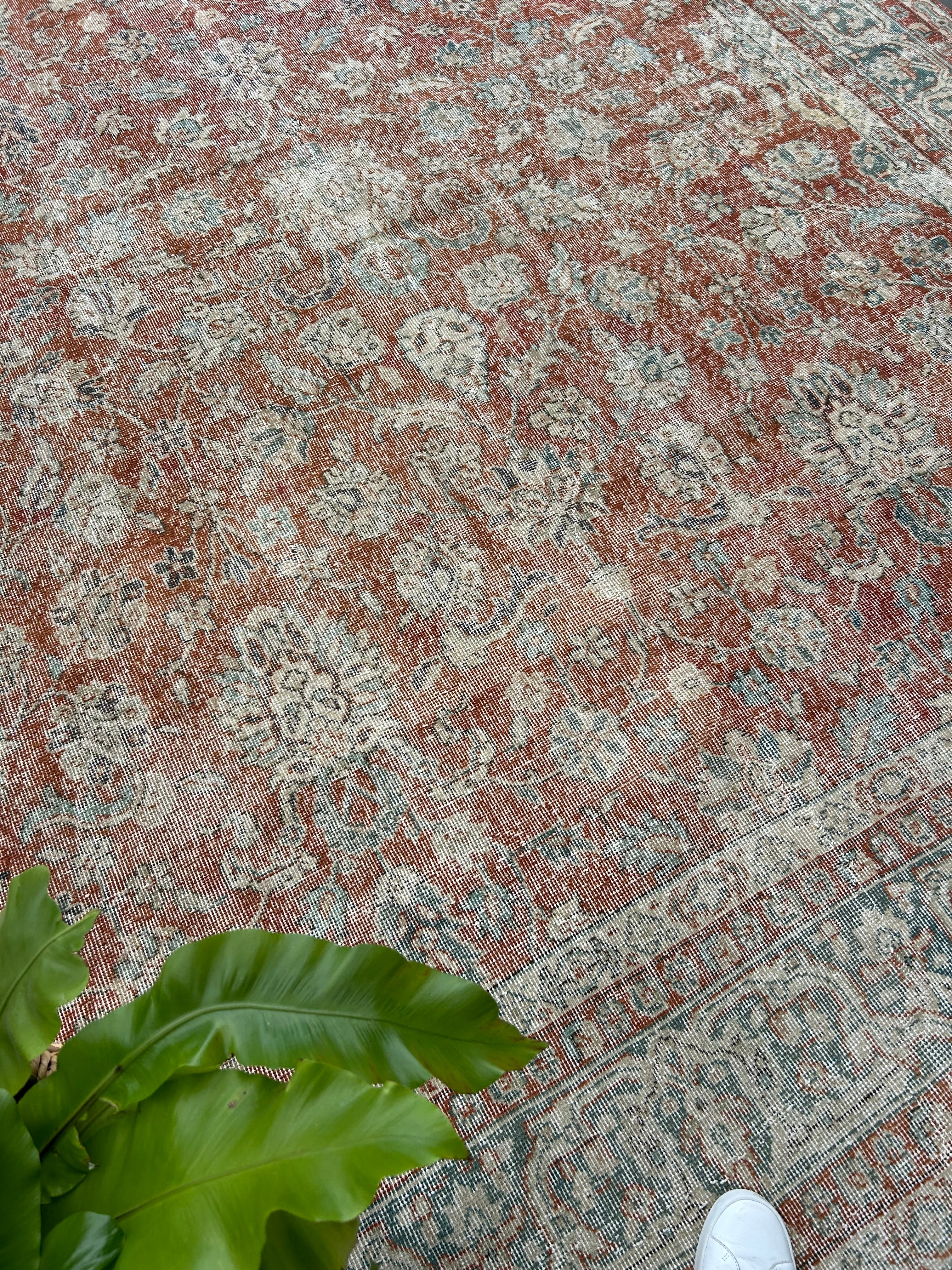 ‘Lillian’ - 244 x 368cm