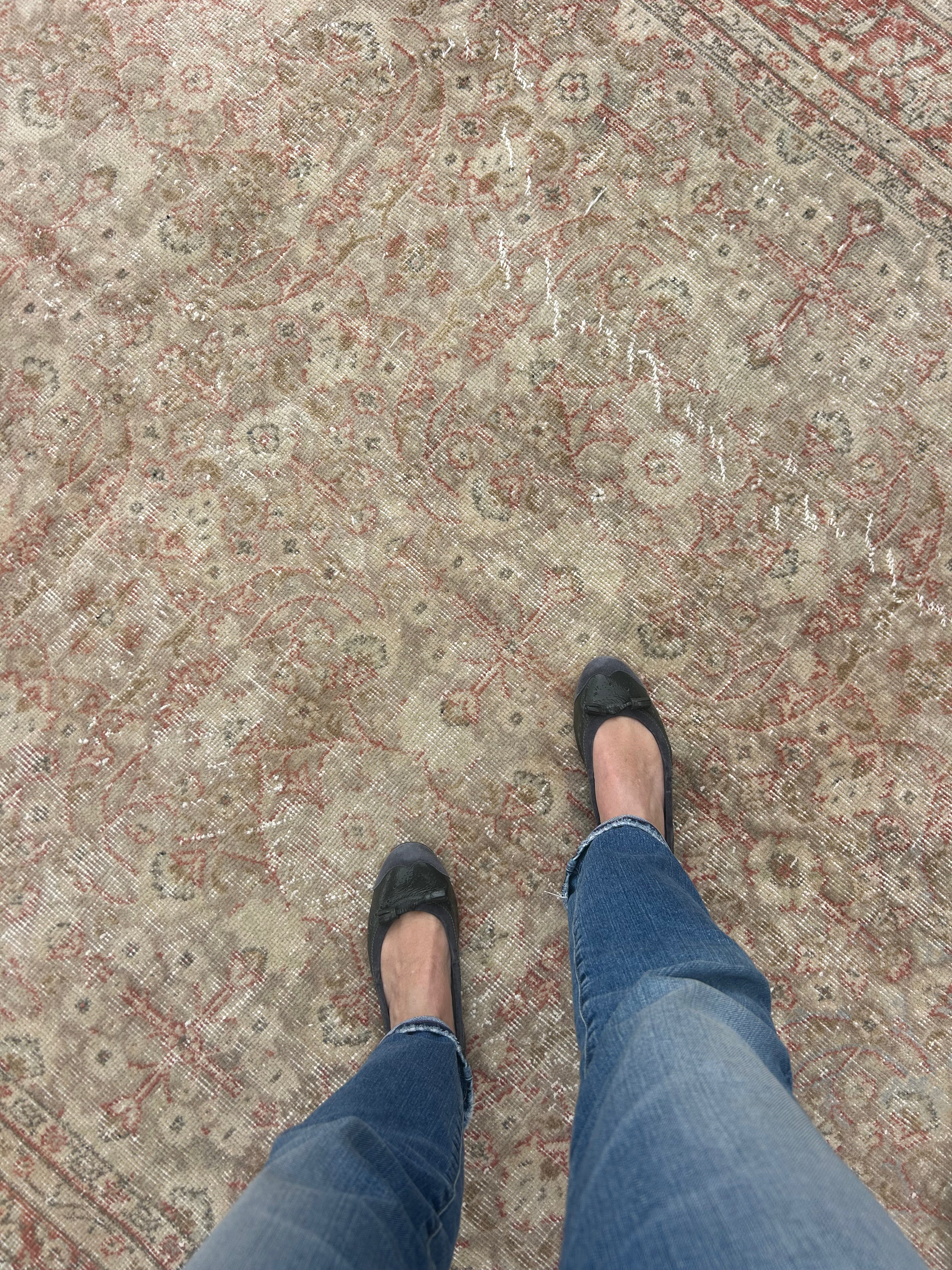 ‘Paula’ - 188 x 286cm