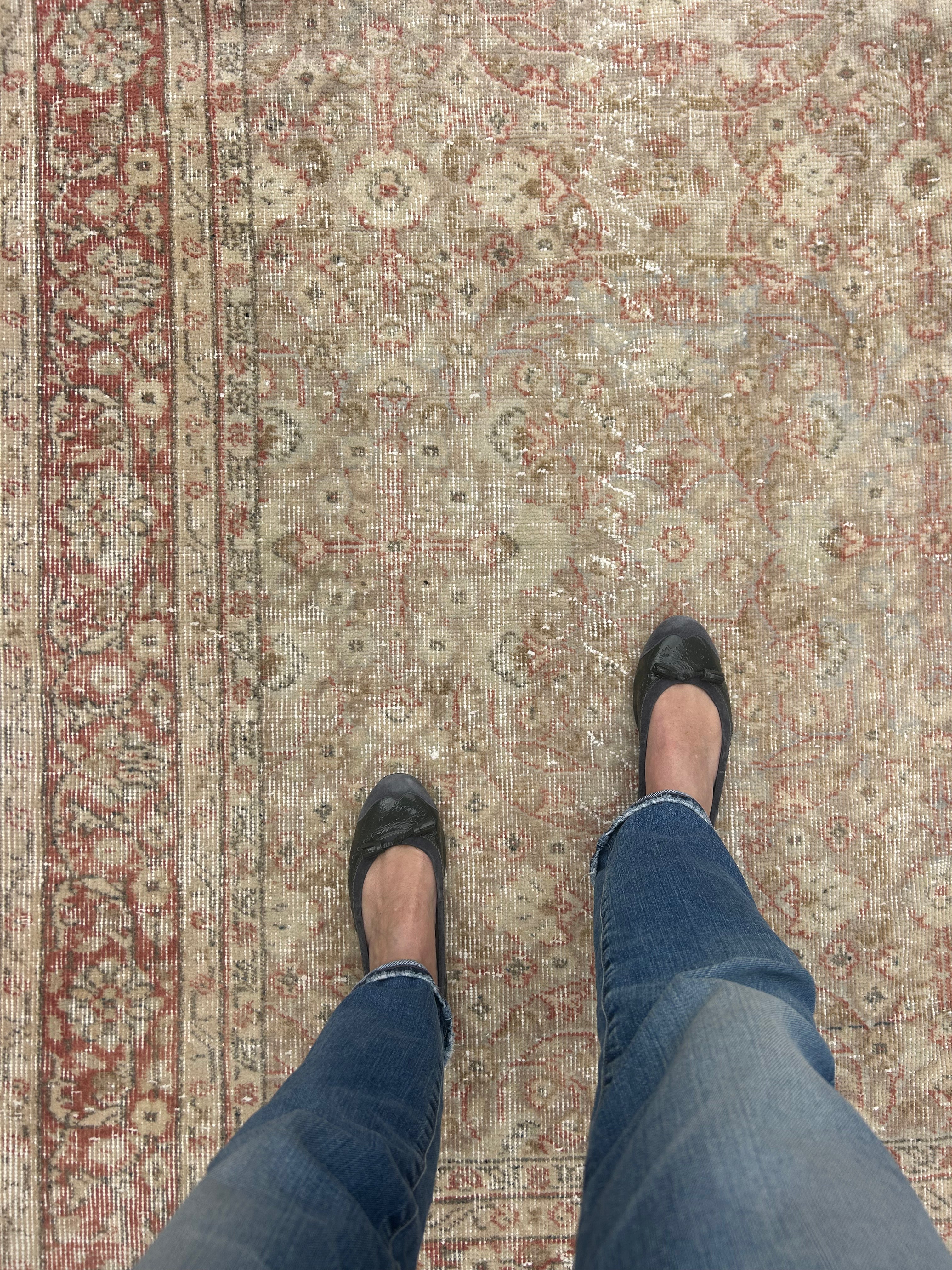 ‘Paula’ - 188 x 286cm