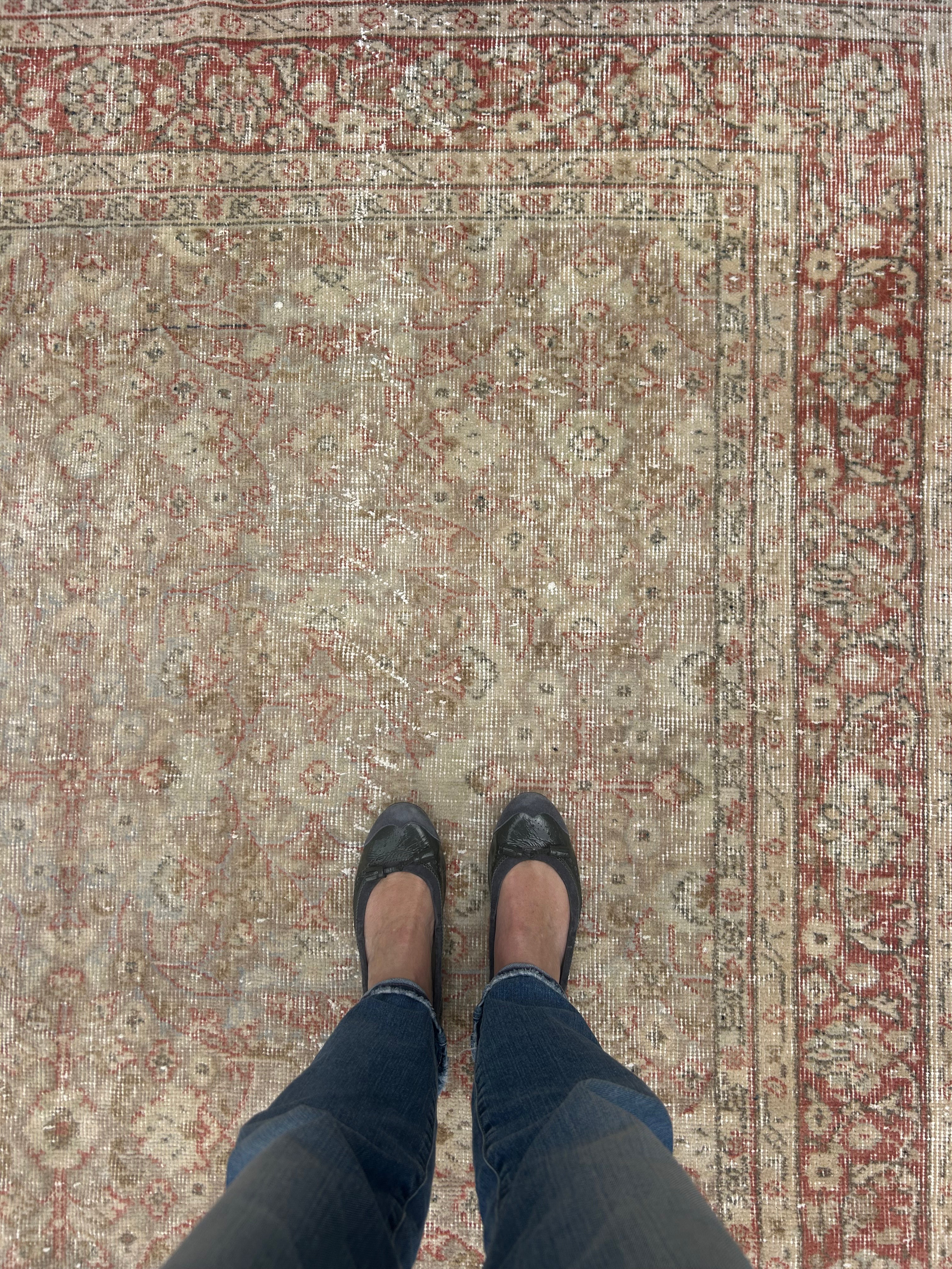 ‘Paula’ - 188 x 286cm