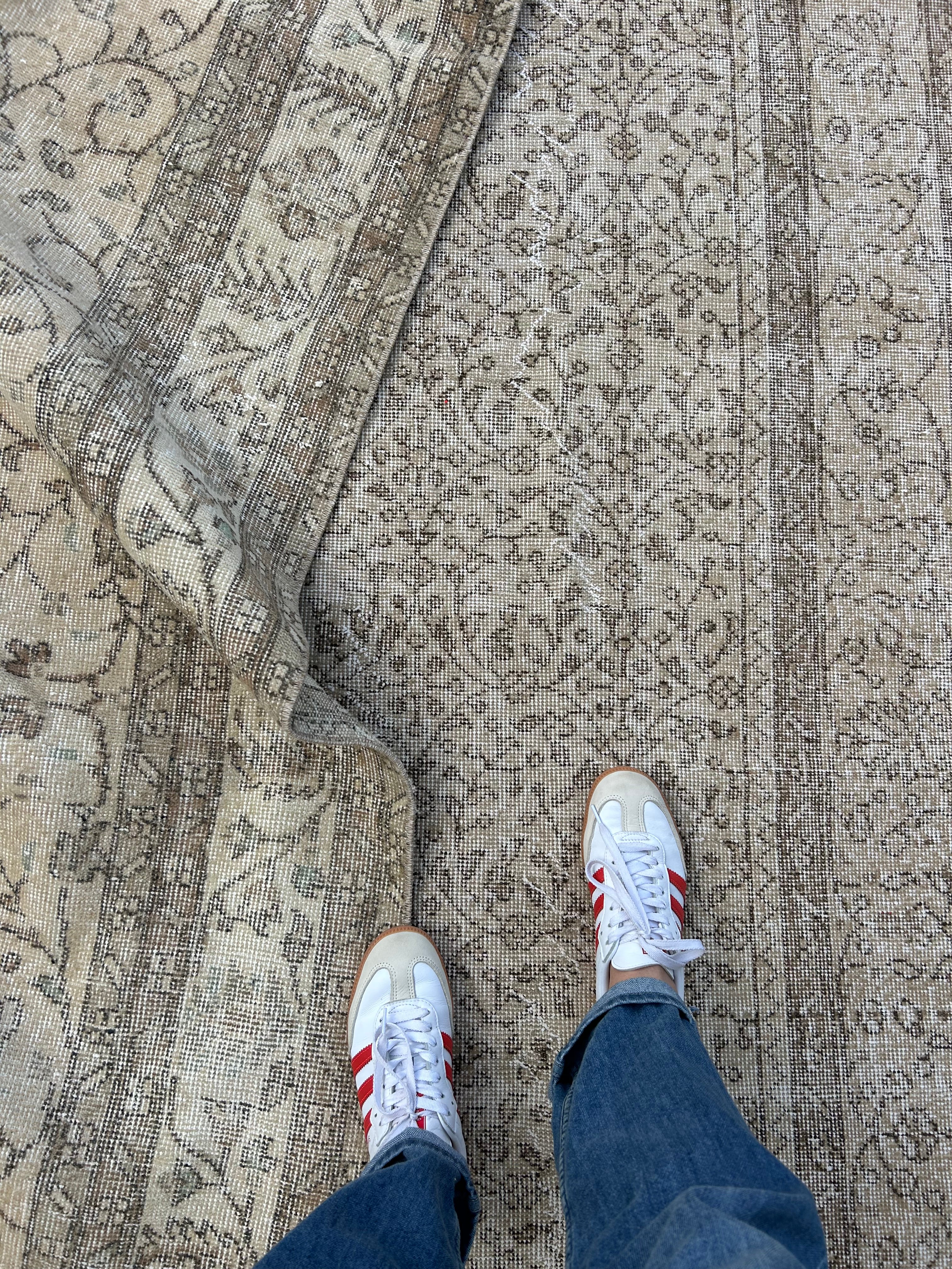 'Violet' - 209 x 317cm