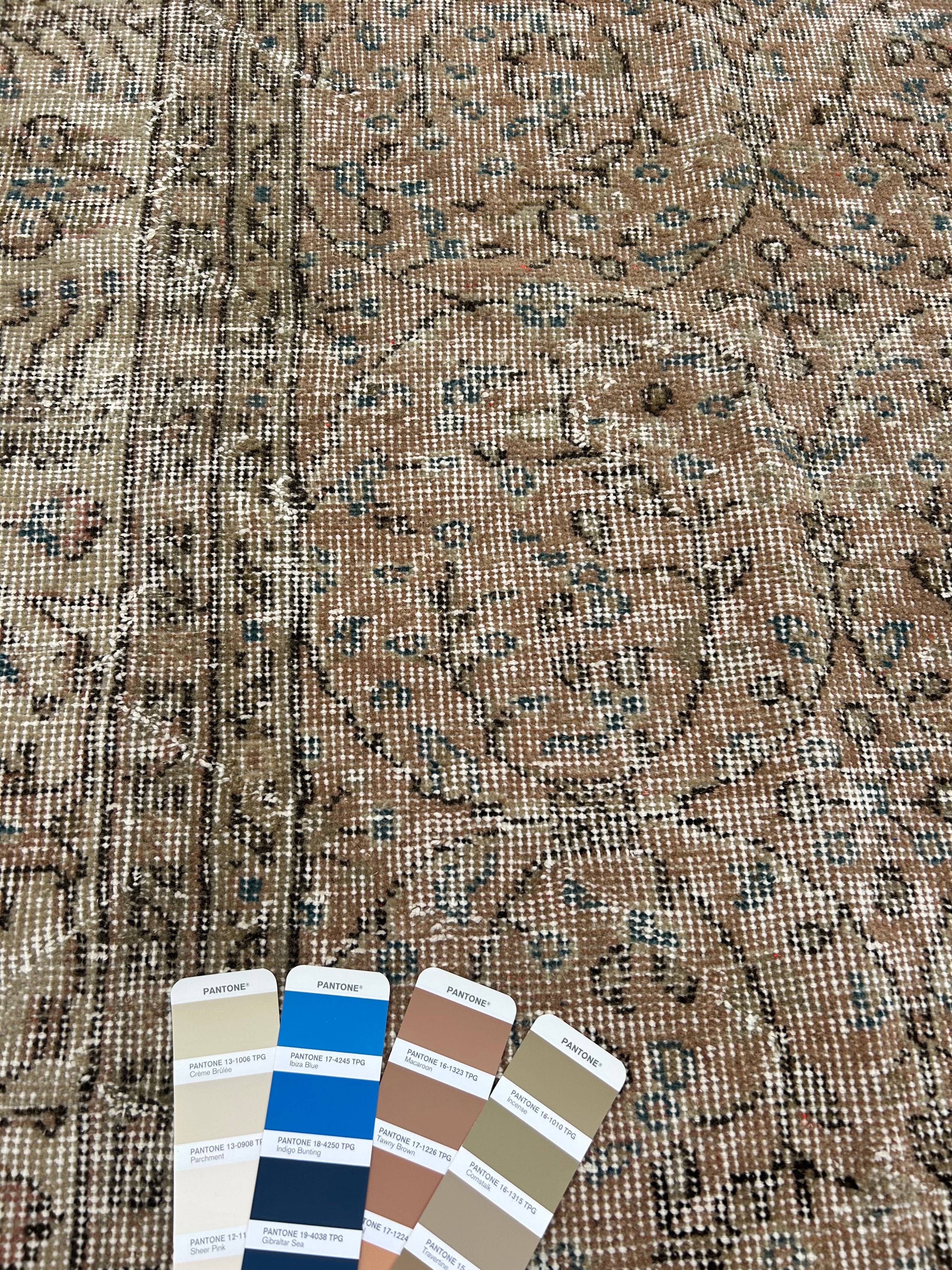 'Paige' - 212 x 312cm