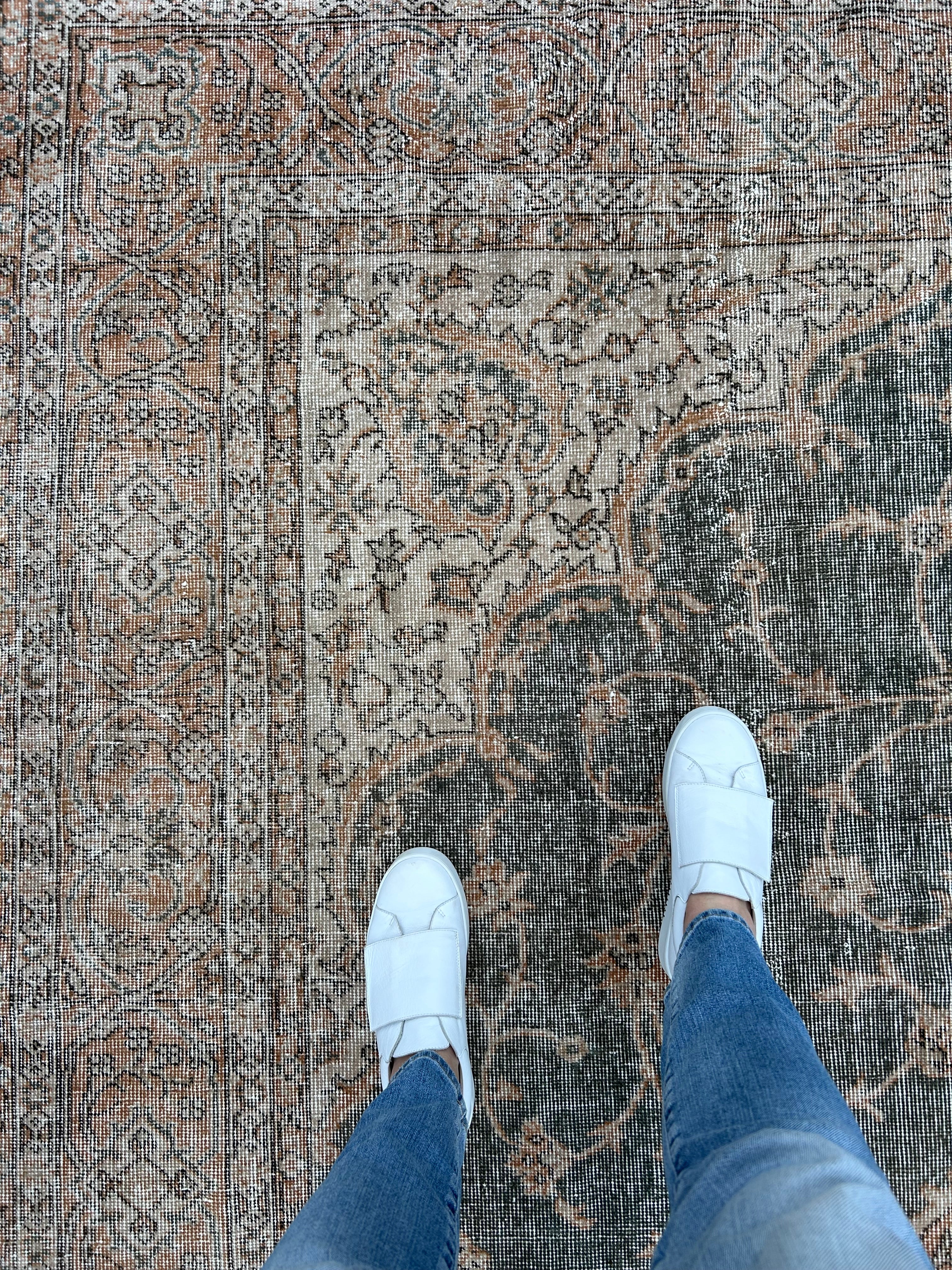 'Laurence' - 242 x 337cm