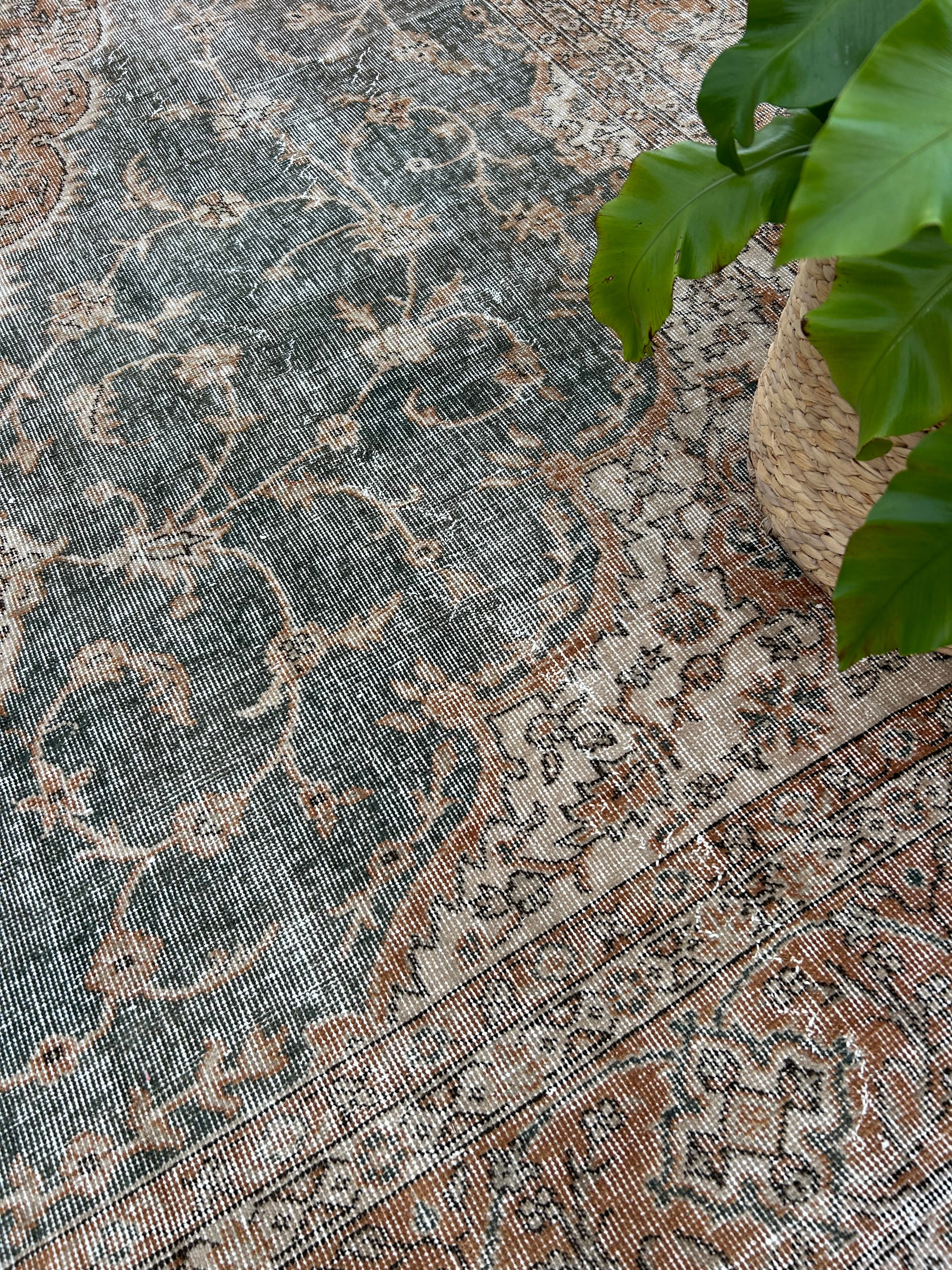 'Laurence' - 242 x 337cm