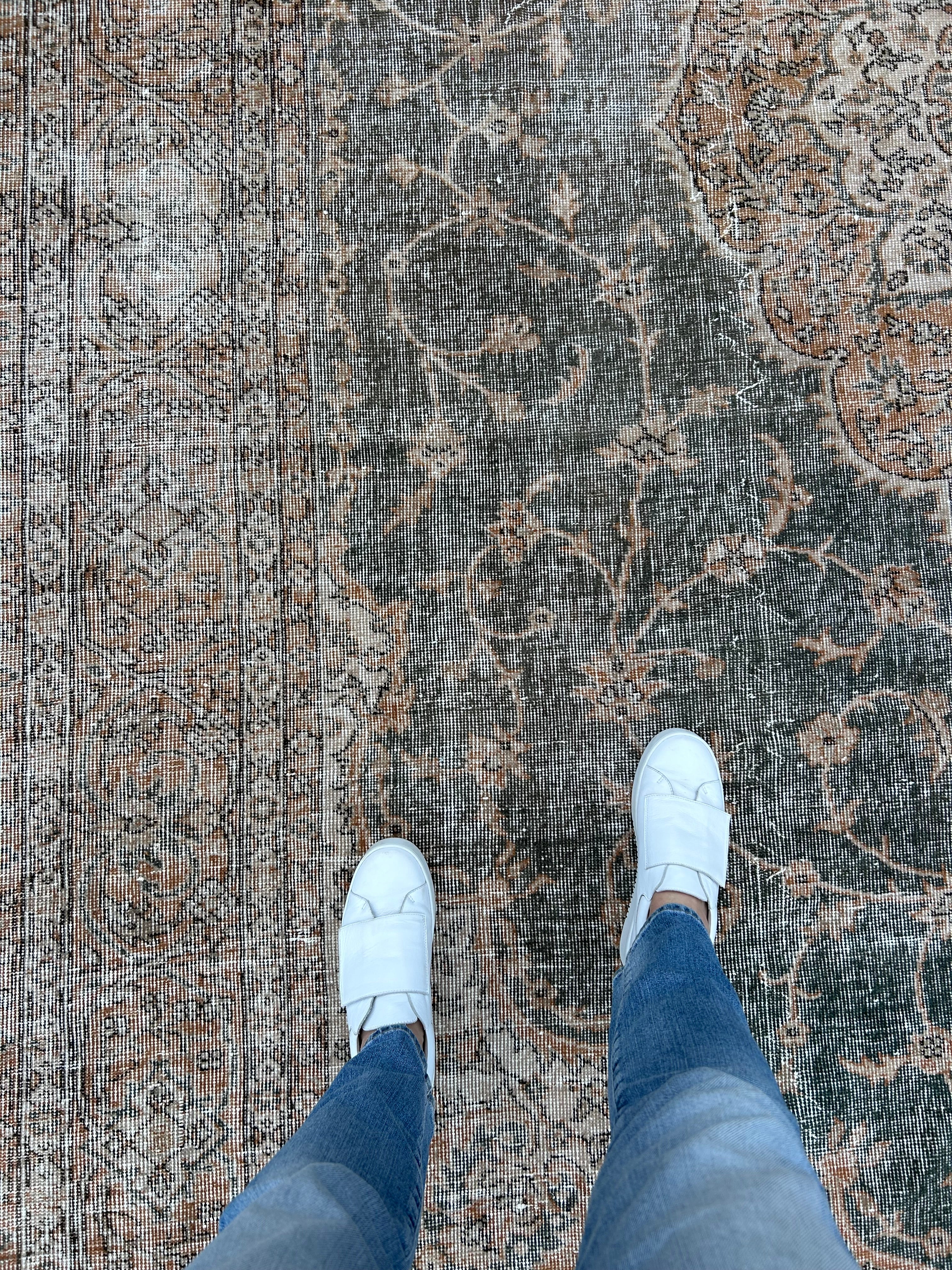 'Laurence' - 242 x 337cm