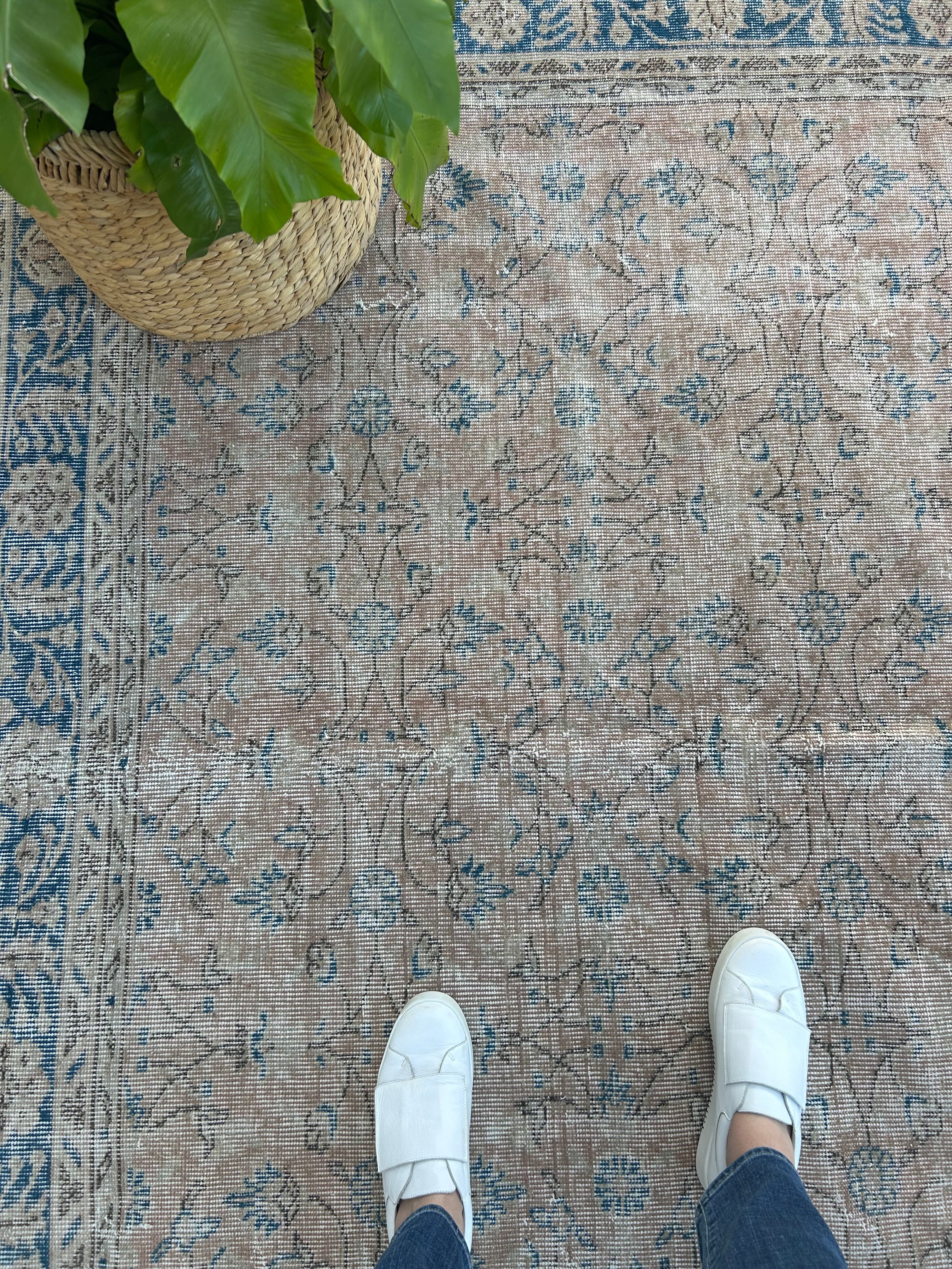 'Cora' - 215 x 308cm