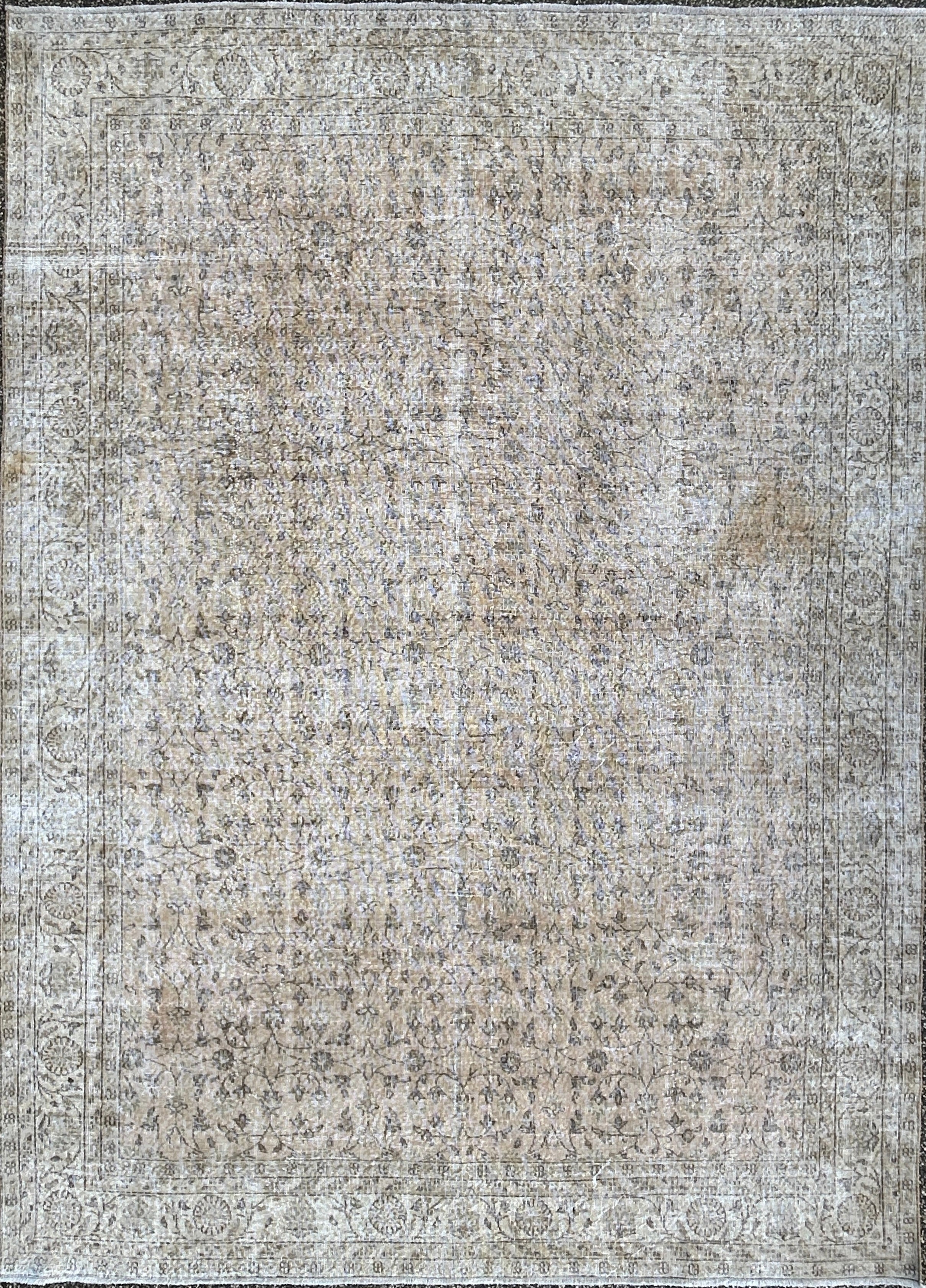 ‘Isla’ - 253 x 348cm