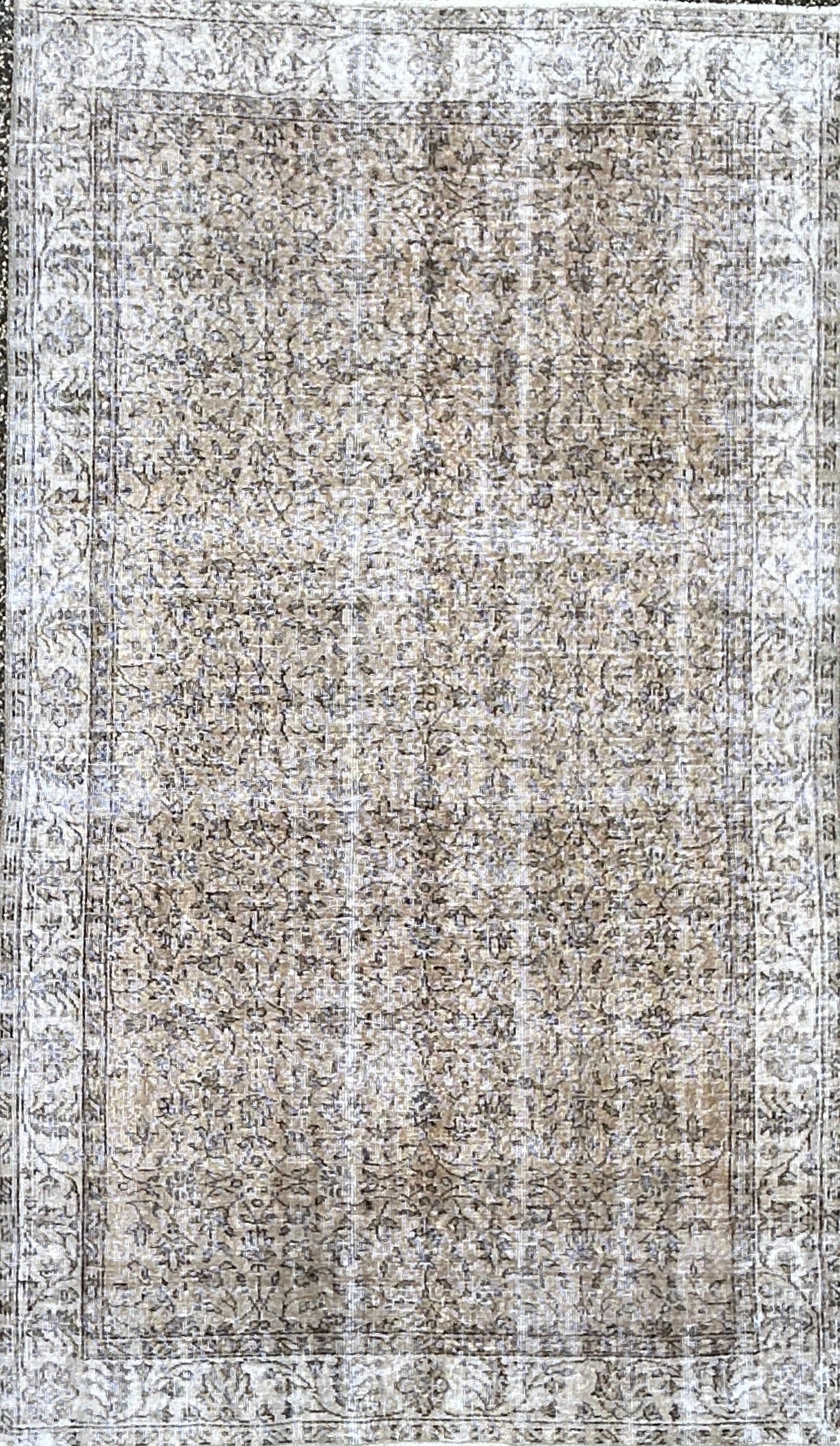 'Izzy' - 151 x 256cm