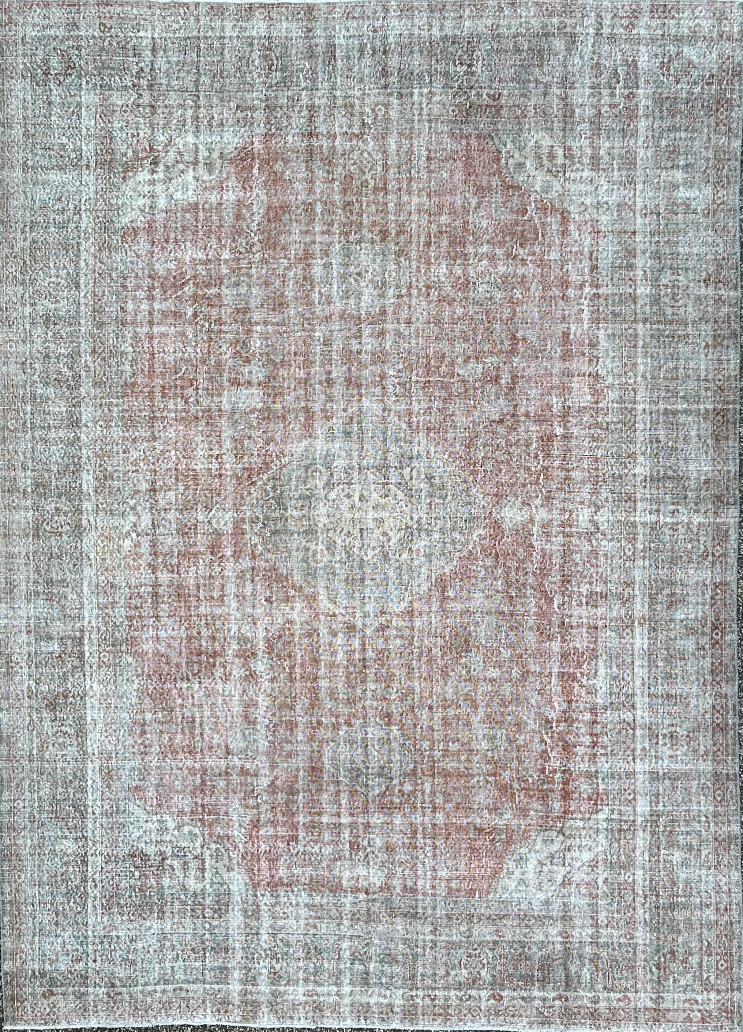 'Augusta' - 274 x 378cm