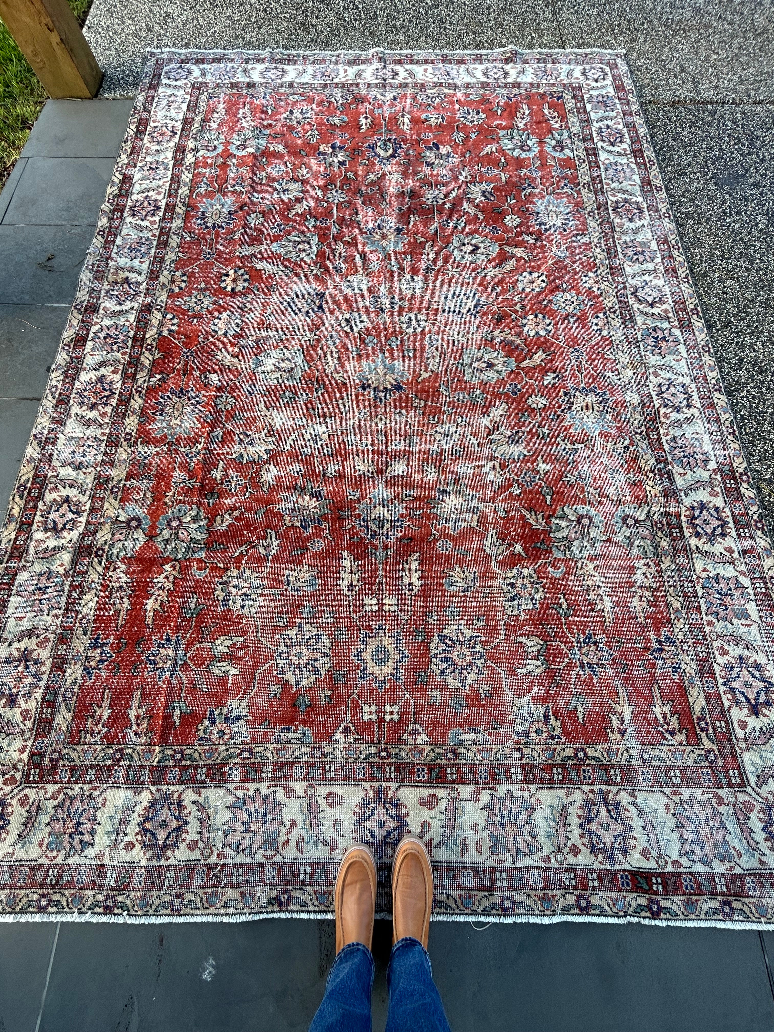 'Carey' - 232 x 335cm