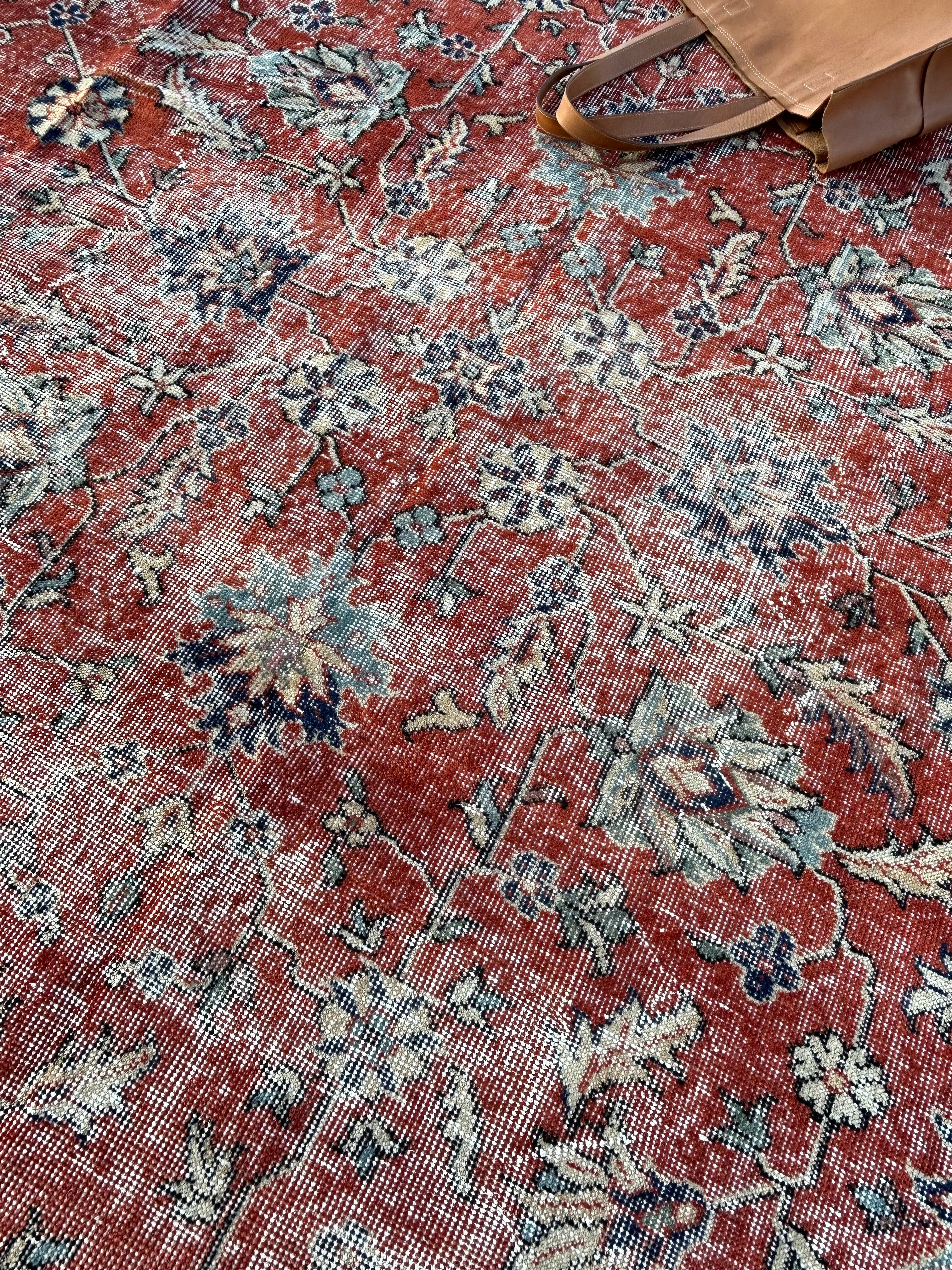 'Carey' - 232 x 335cm