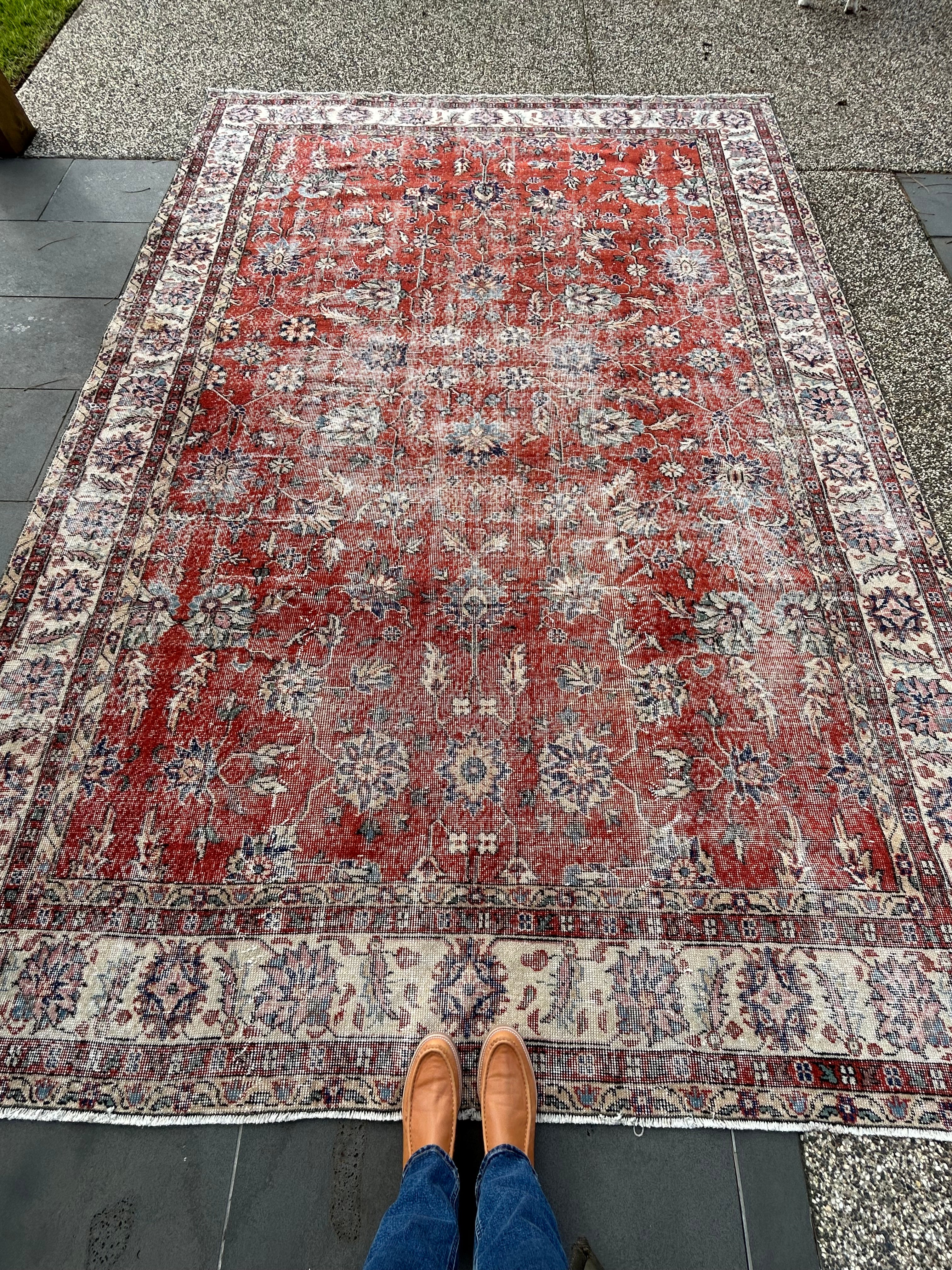 'Carey' - 232 x 335cm