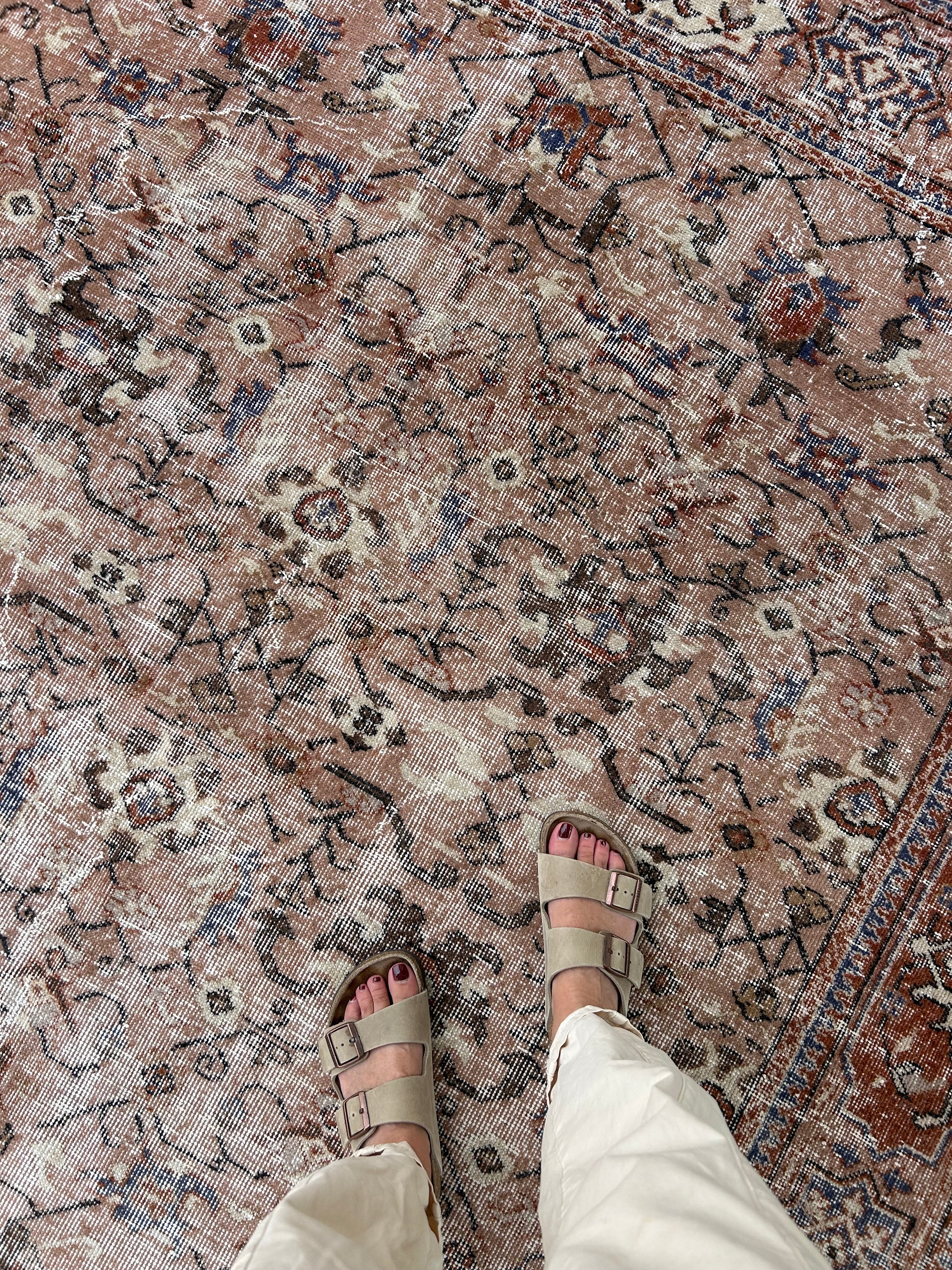 'Jasper' - 190 x 317cm