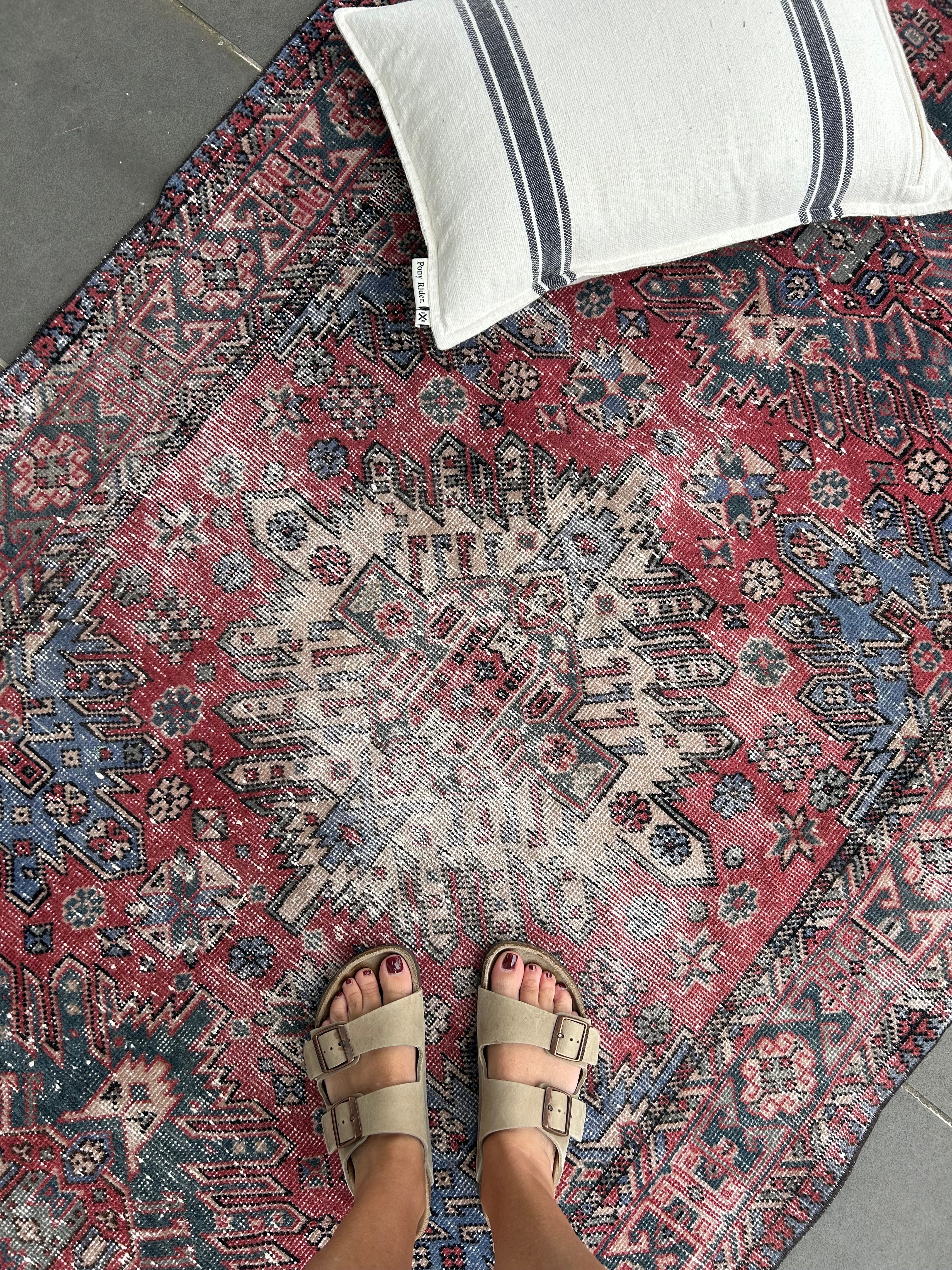 'Chessie' - 113 x 218cm