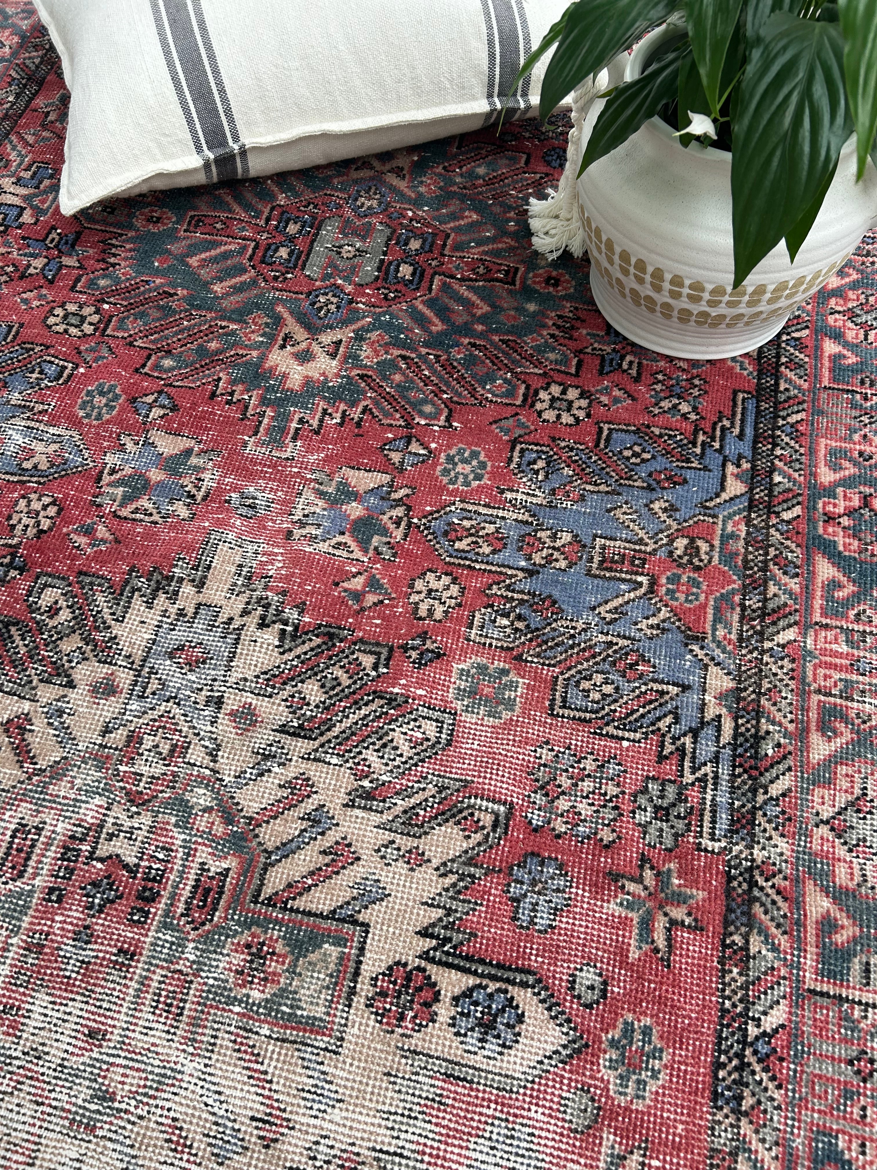 'Chessie' - 113 x 218cm