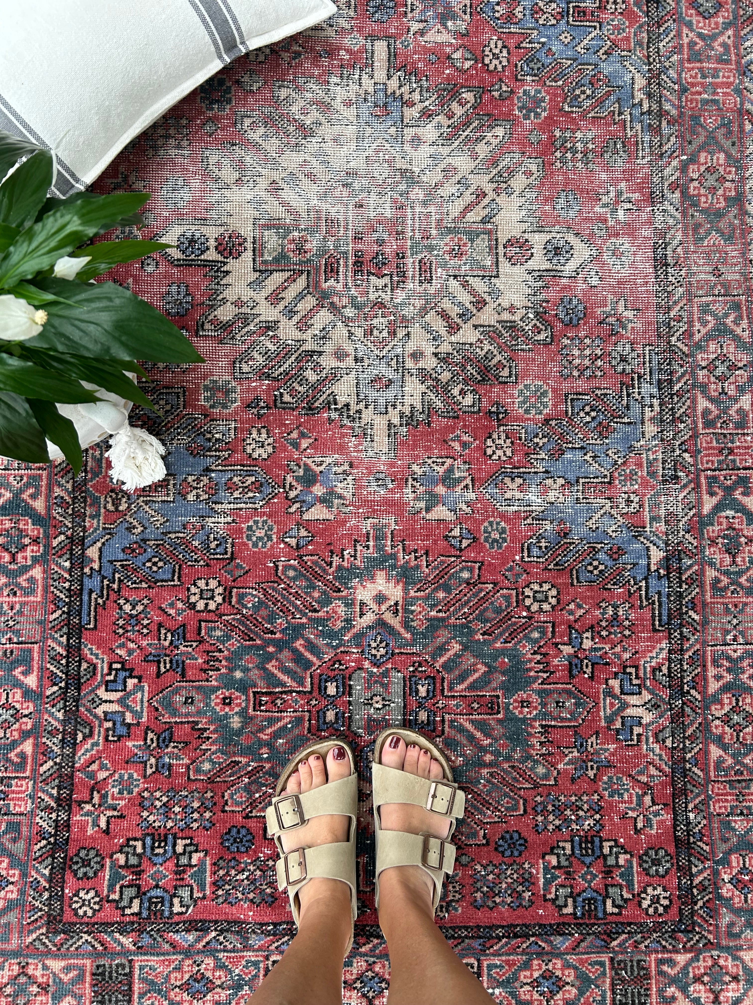 'Chessie' - 113 x 218cm