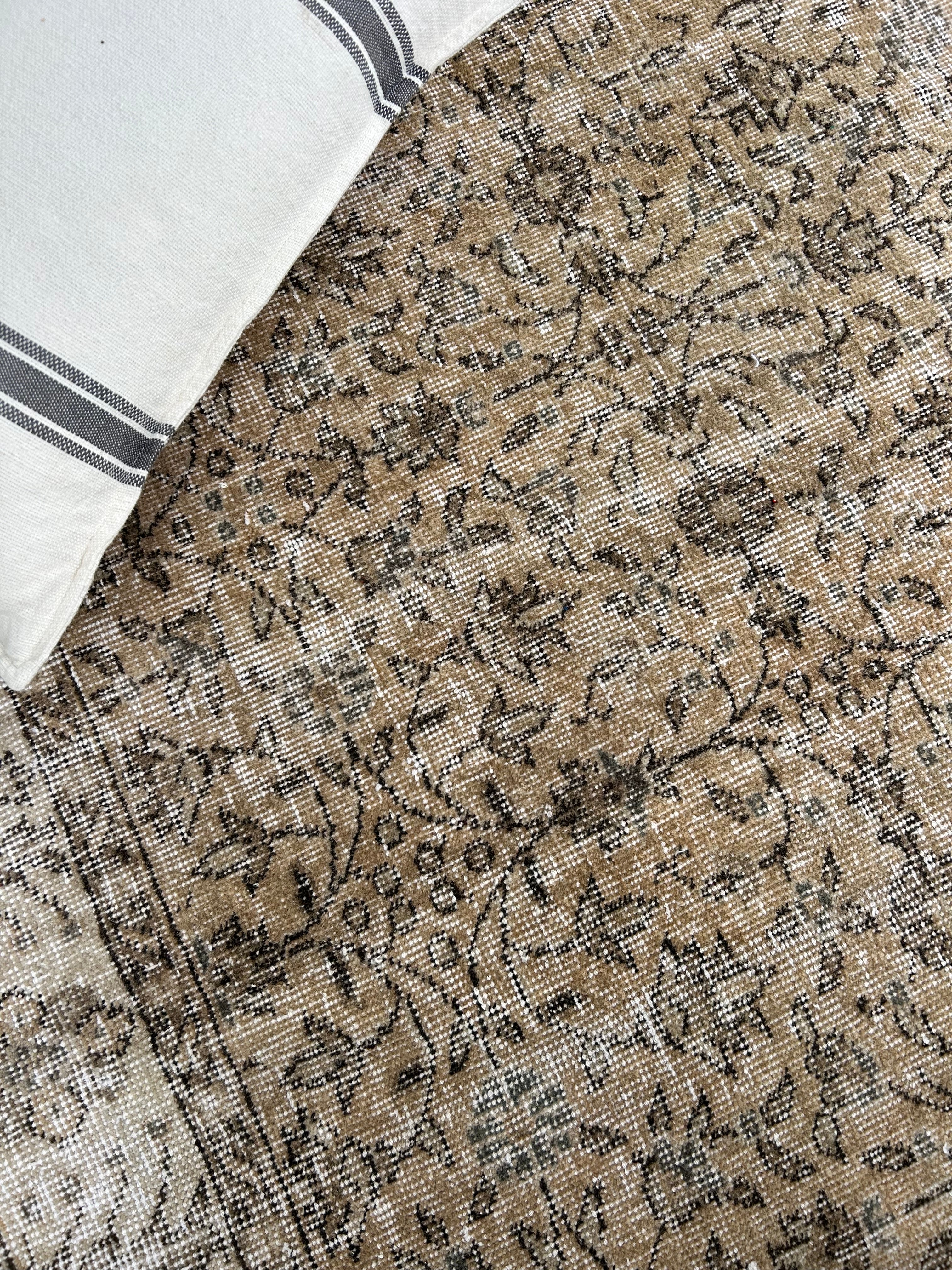 'Izzy' - 151 x 256cm