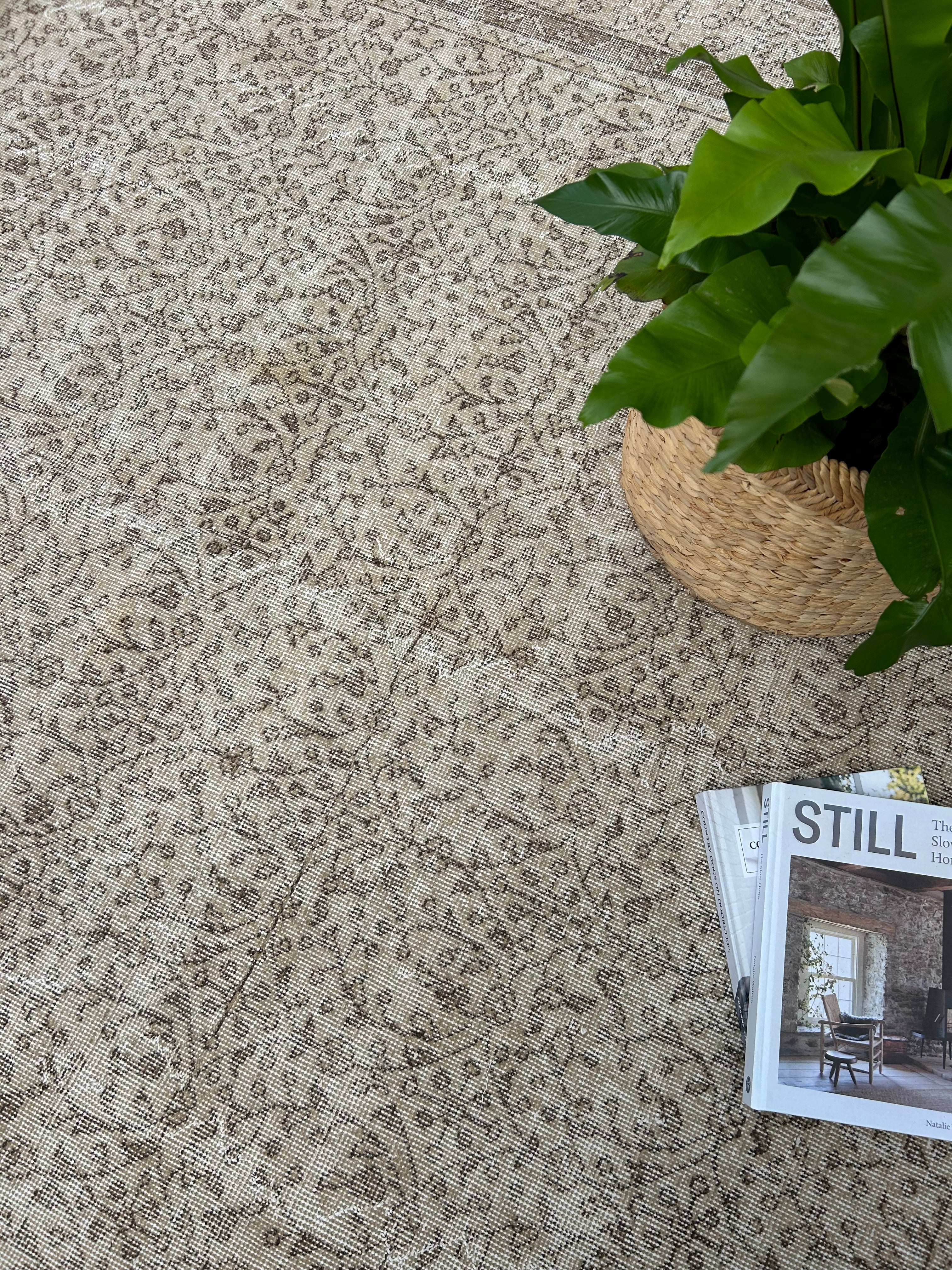 'Violet' - 209 x 317cm