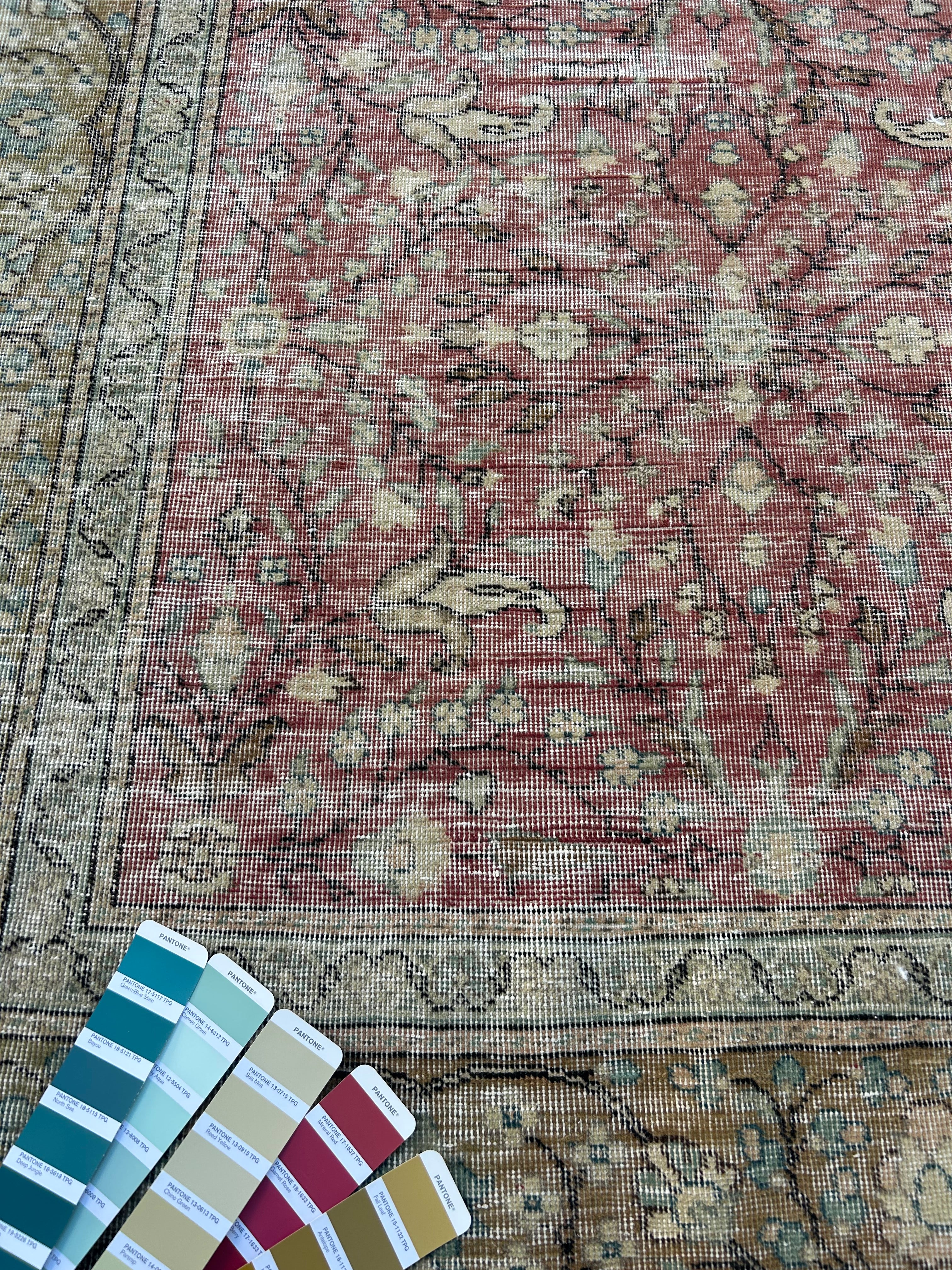 'Nerida' - 194 x 274cm