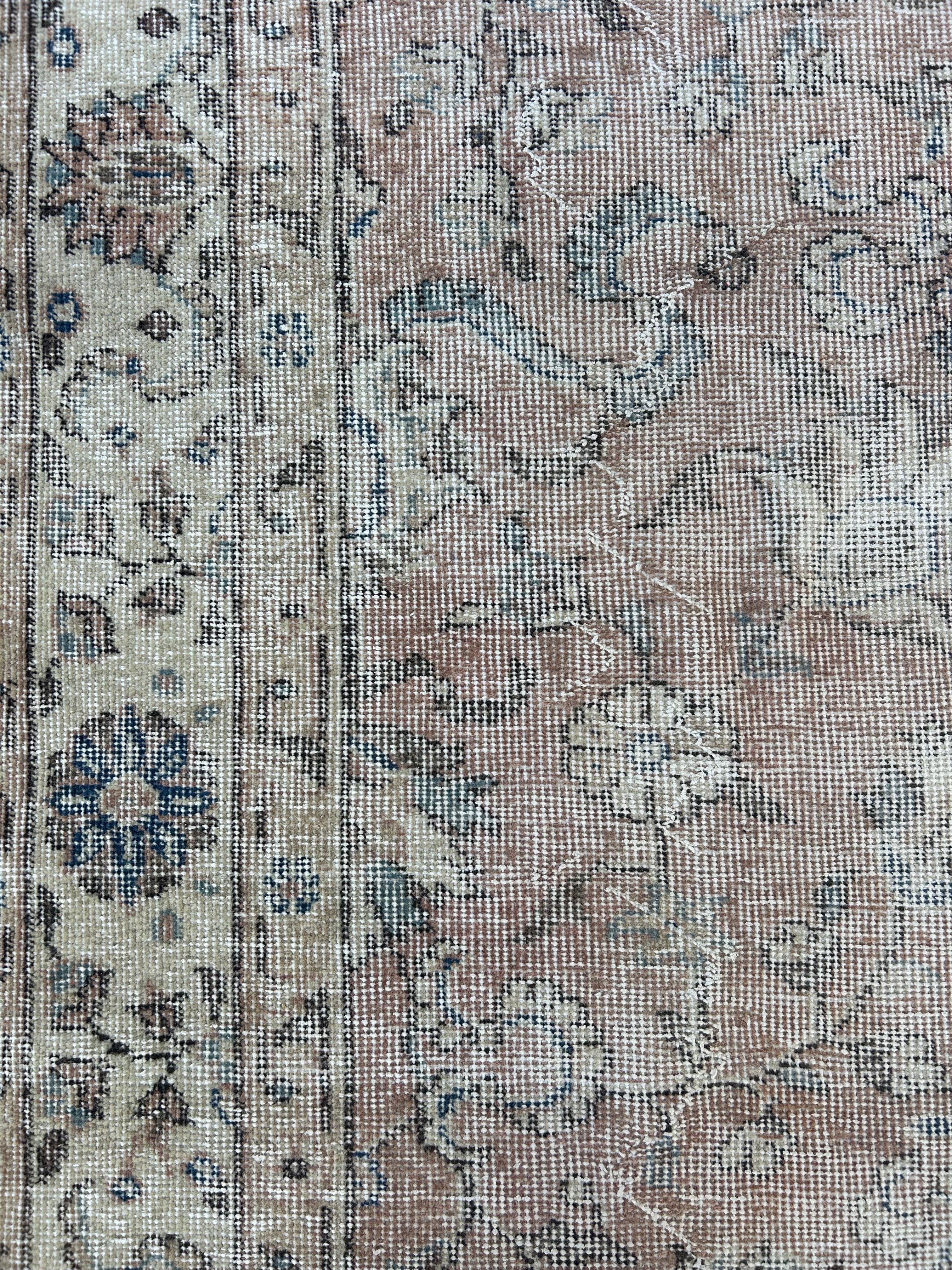 'Jemima' - 163 x 250cm