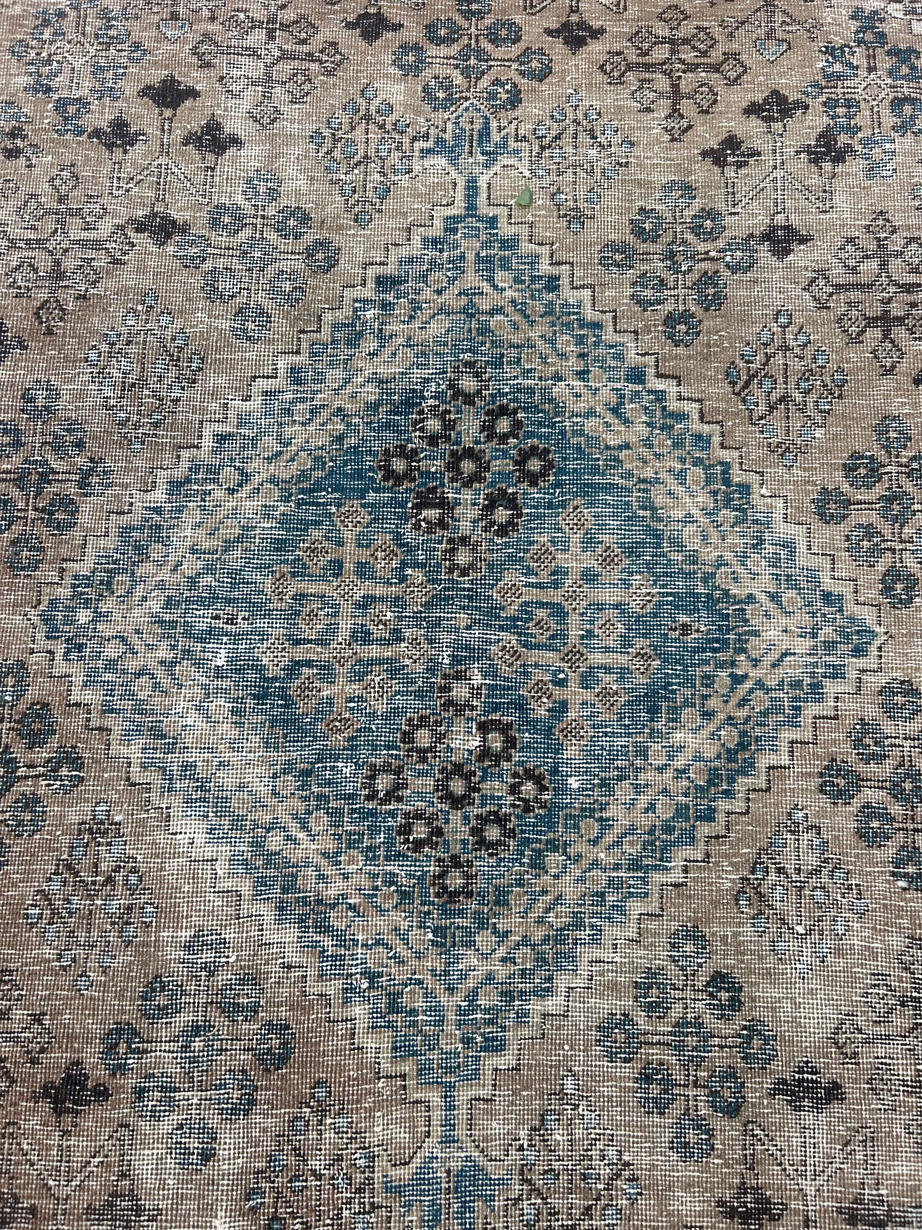 ‘Murphy’ - 152 x 275cm