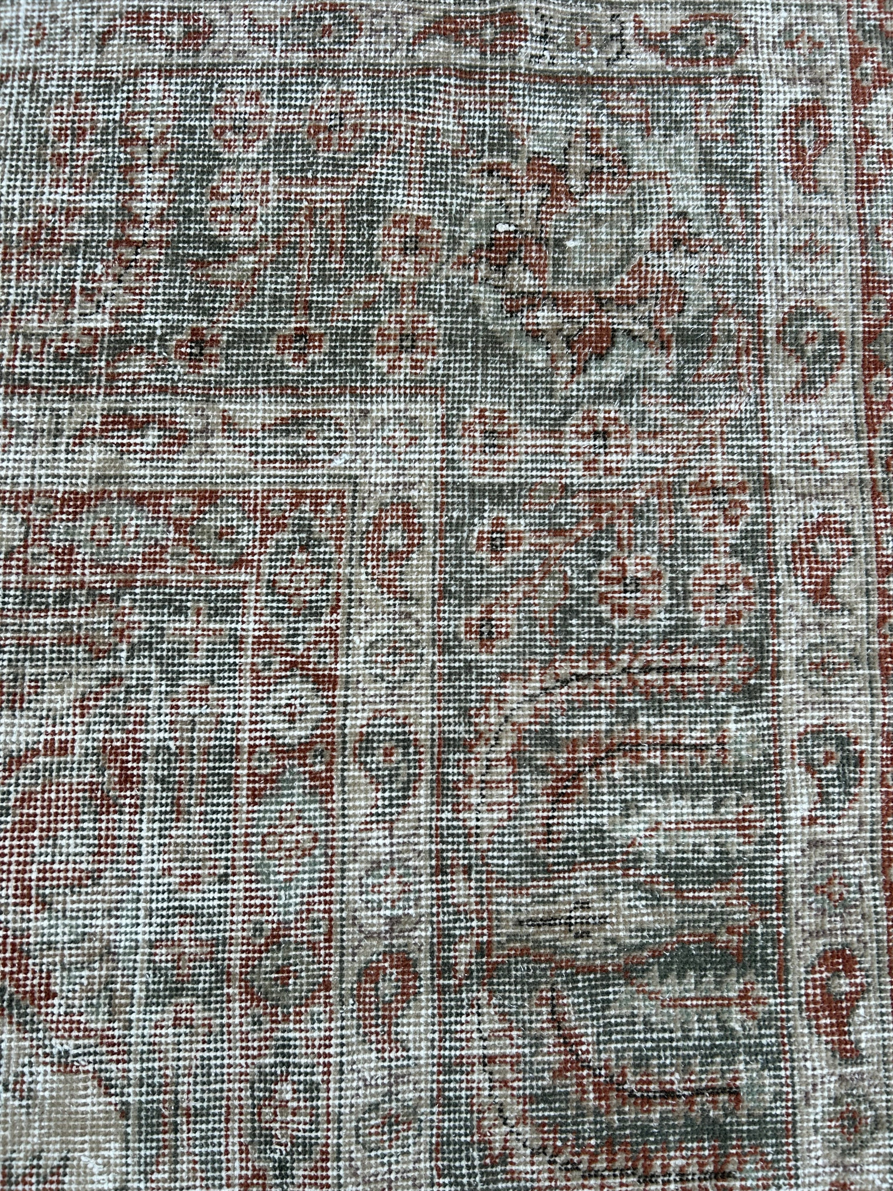 'Augusta' - 274 x 378cm